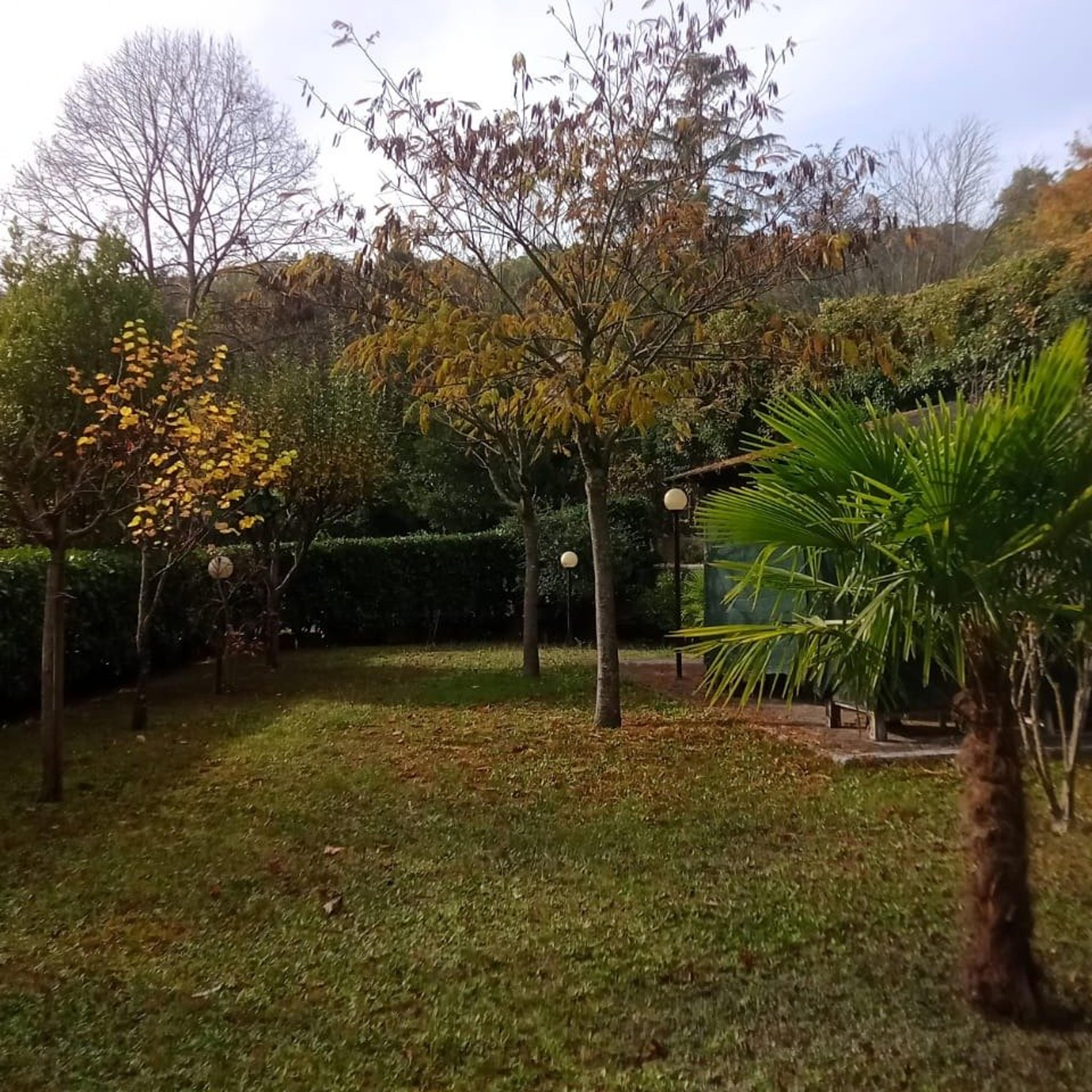 Il giardiniere e non solo... srls