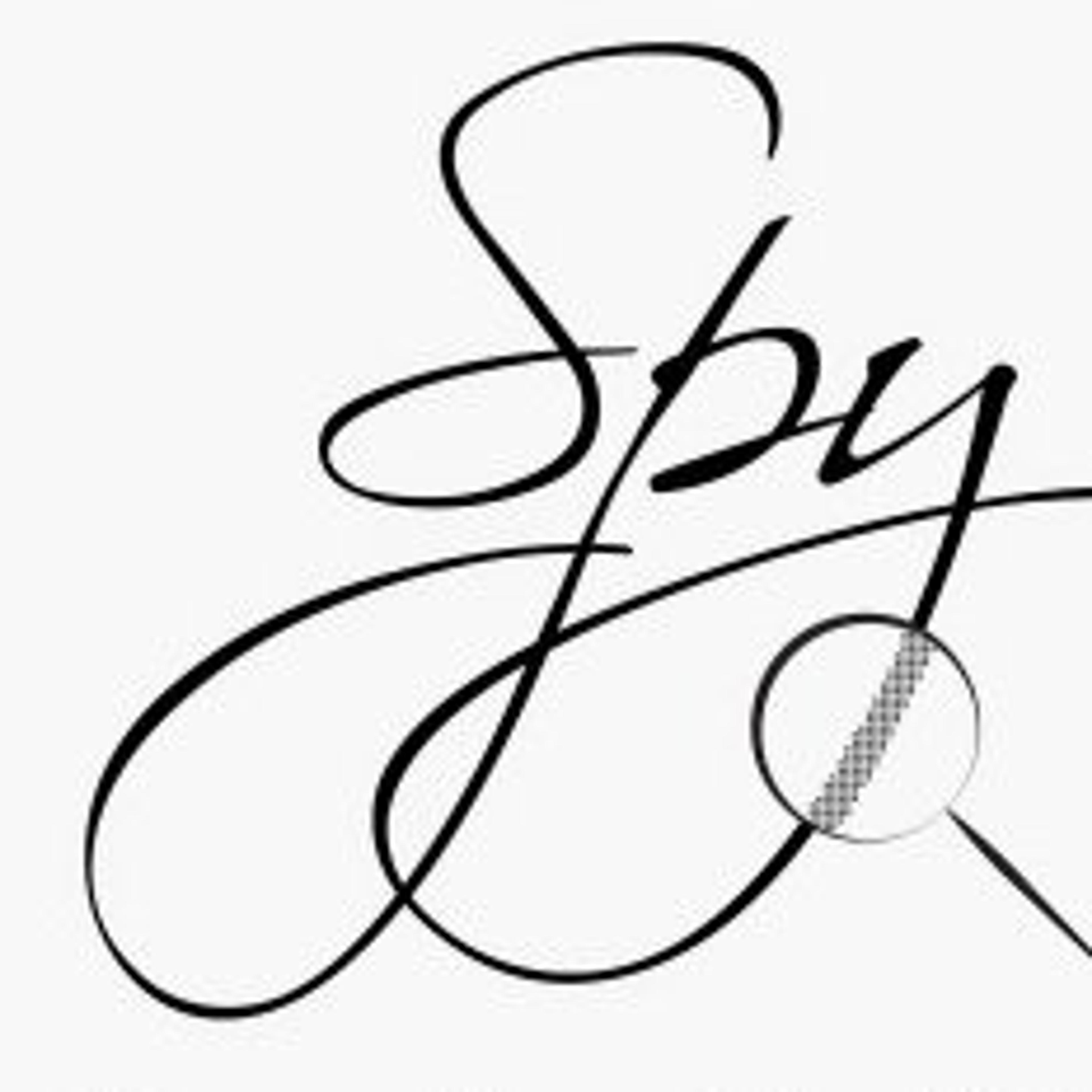 Spyinvestigacion