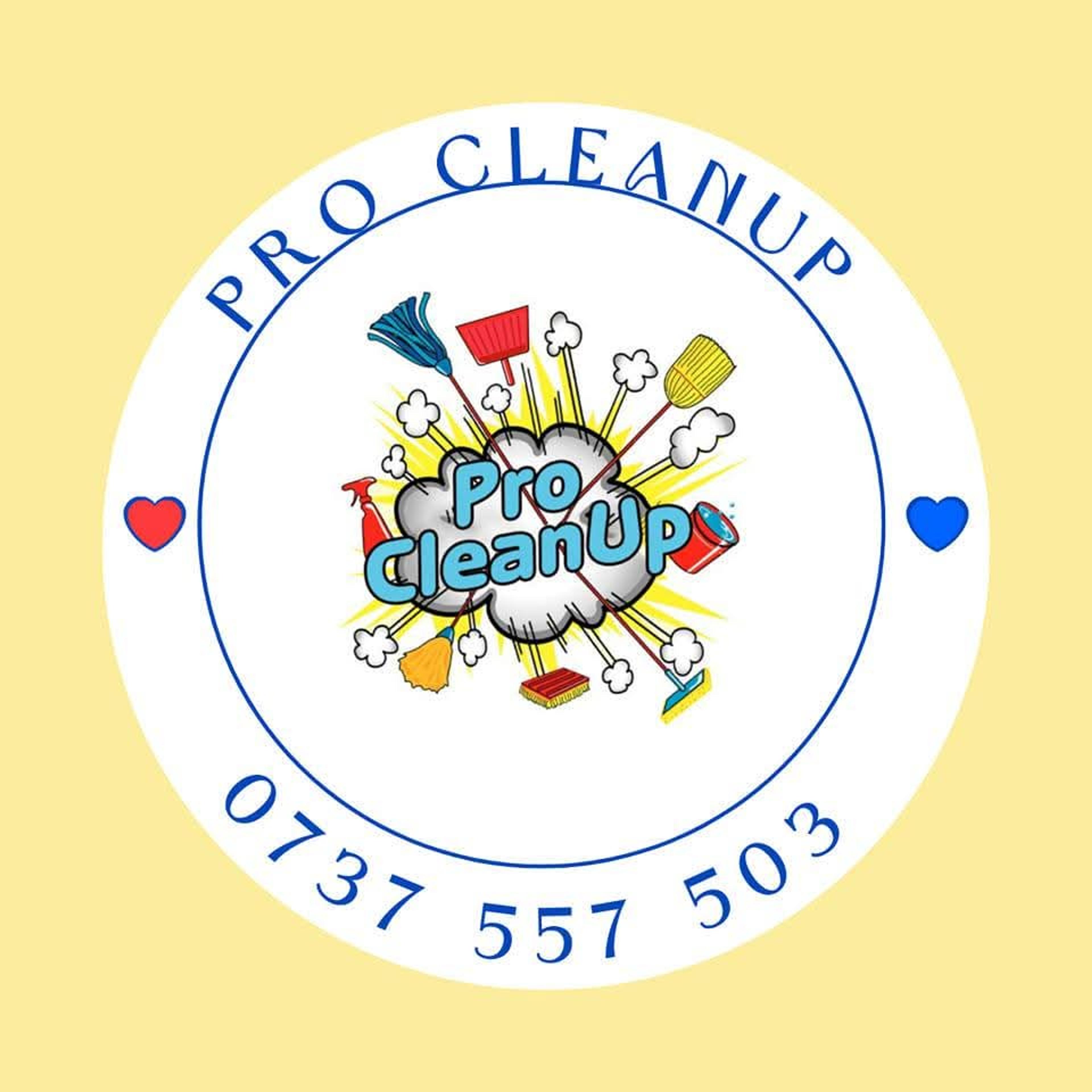 Pro CleanUp