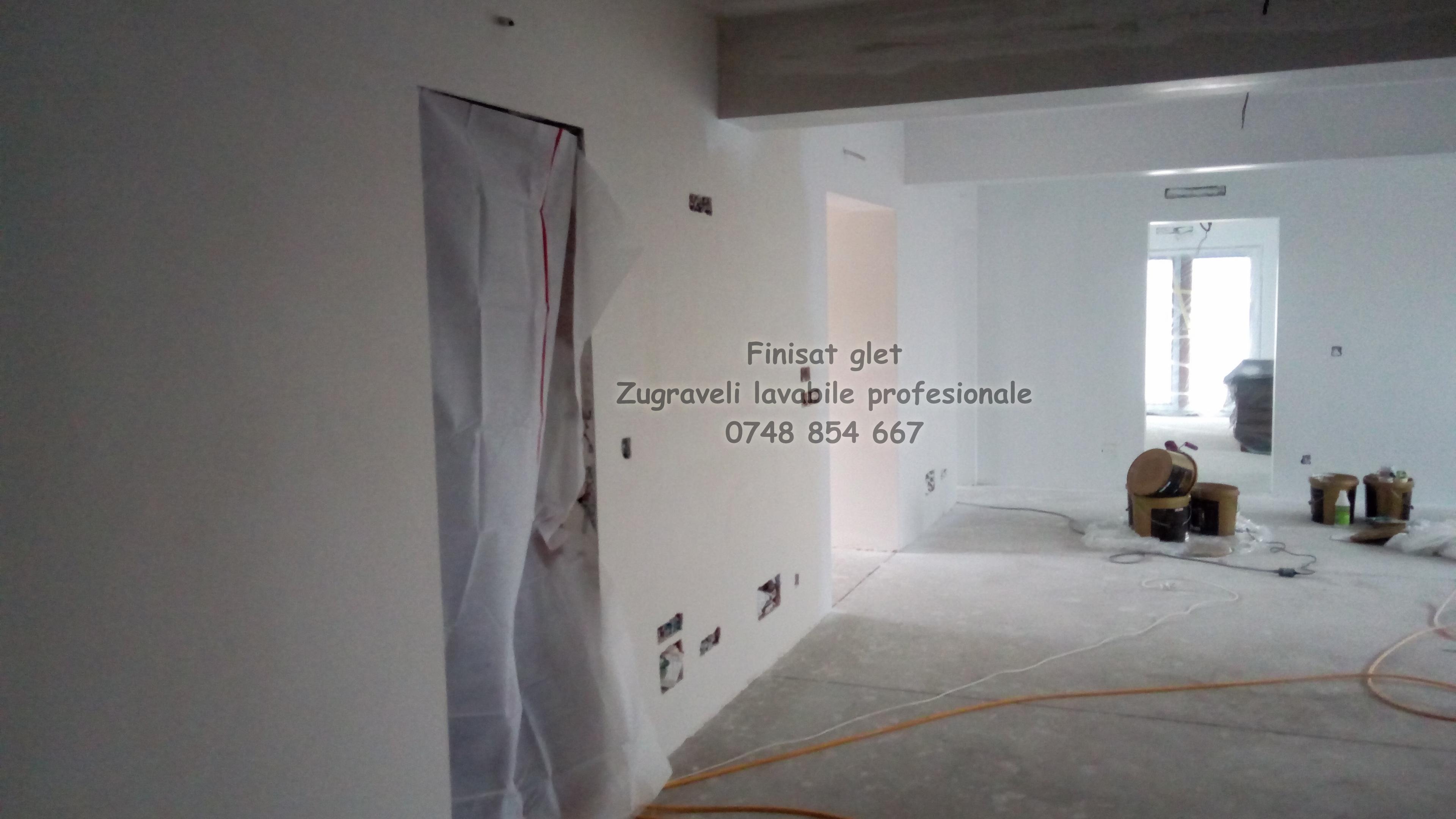 Wall Painting For Your Home Zugraveli Profesionale Mecanizate