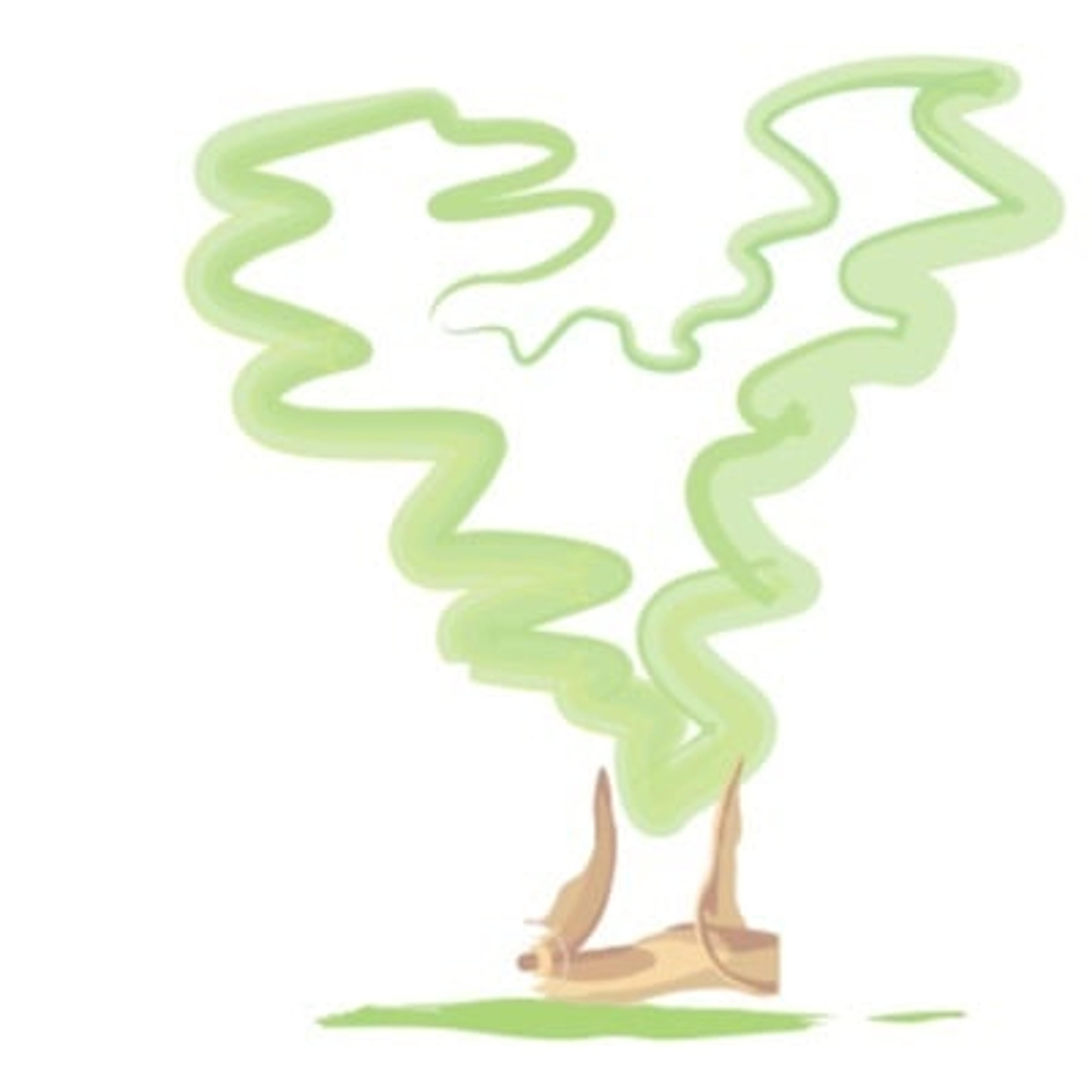 Green Heart di Pazzaglia Alex