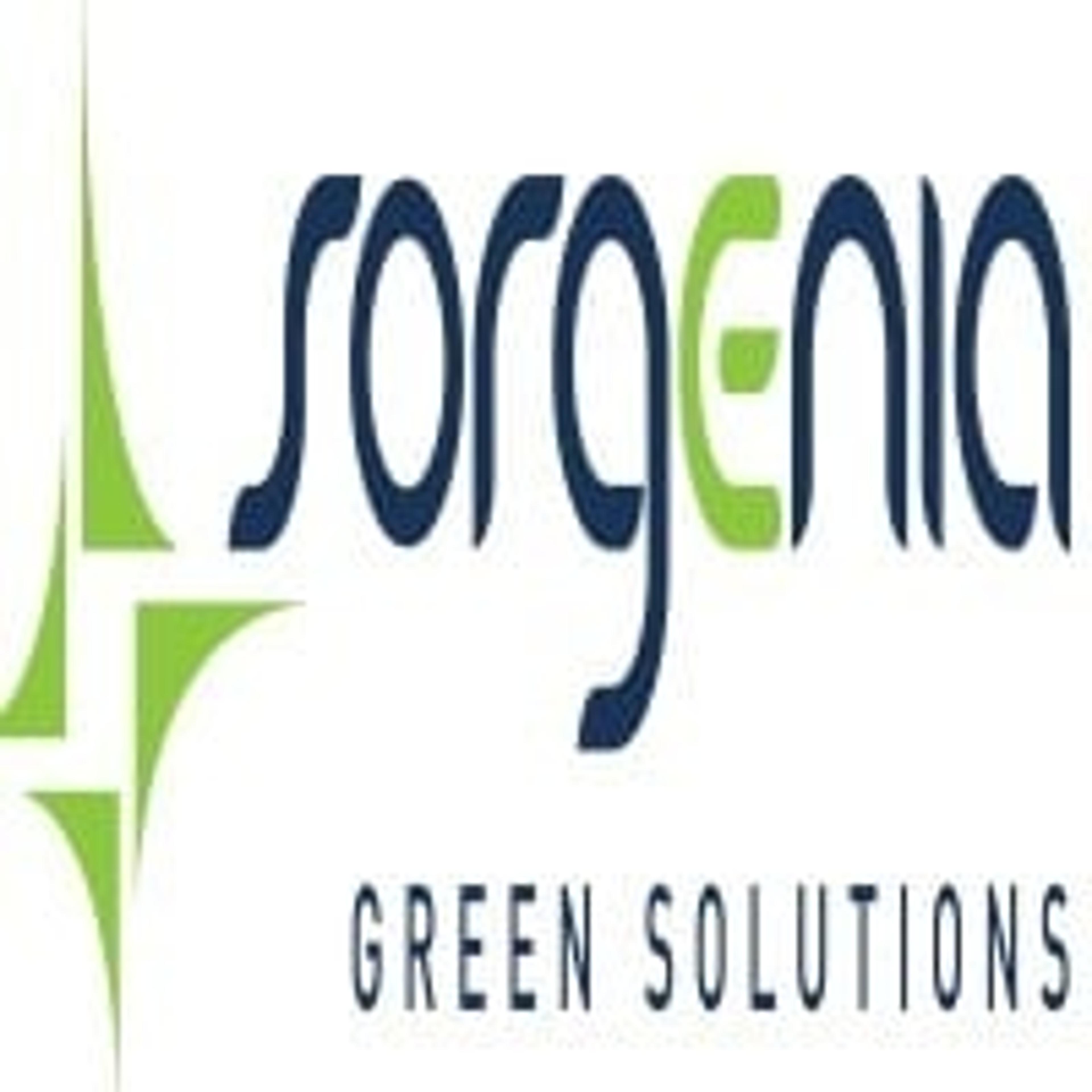 Sorgenia green Solutions