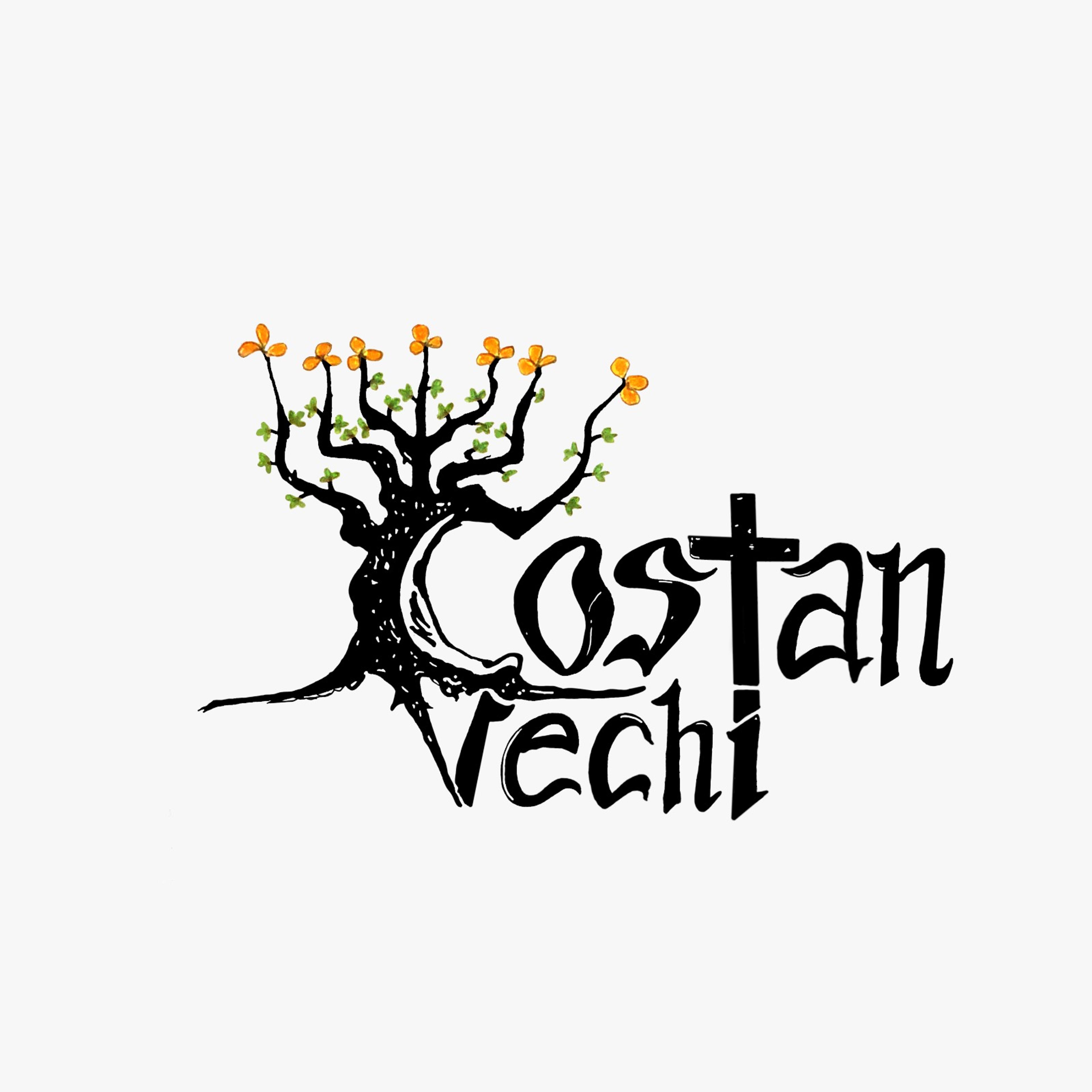 Costan Vechi