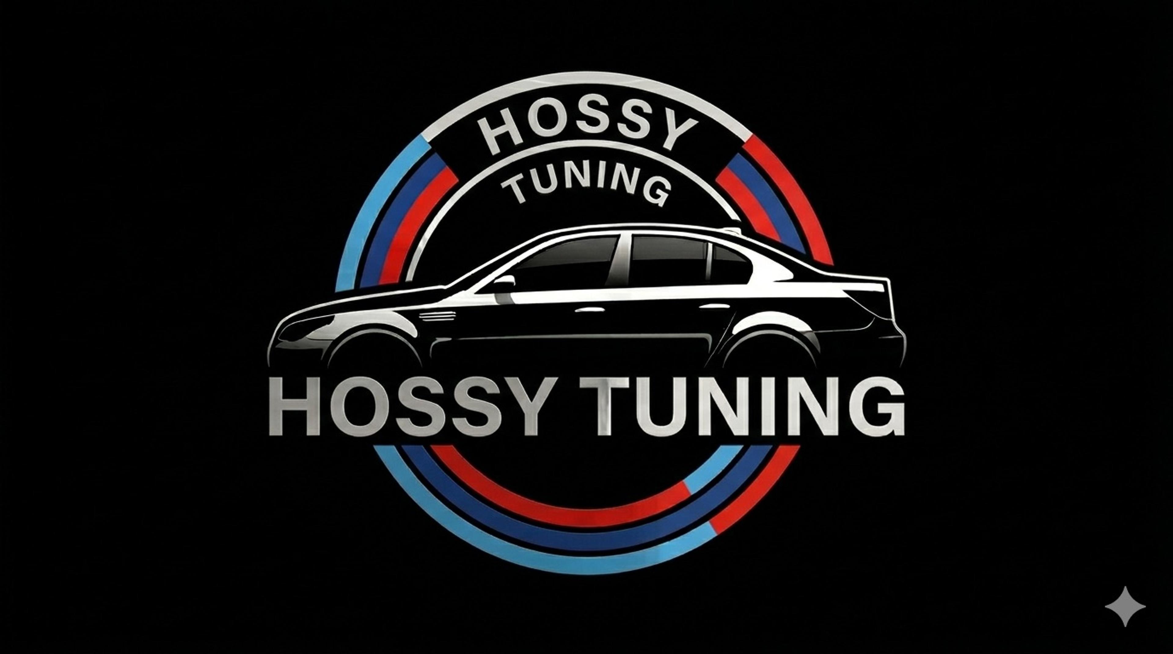 Hossam Annil