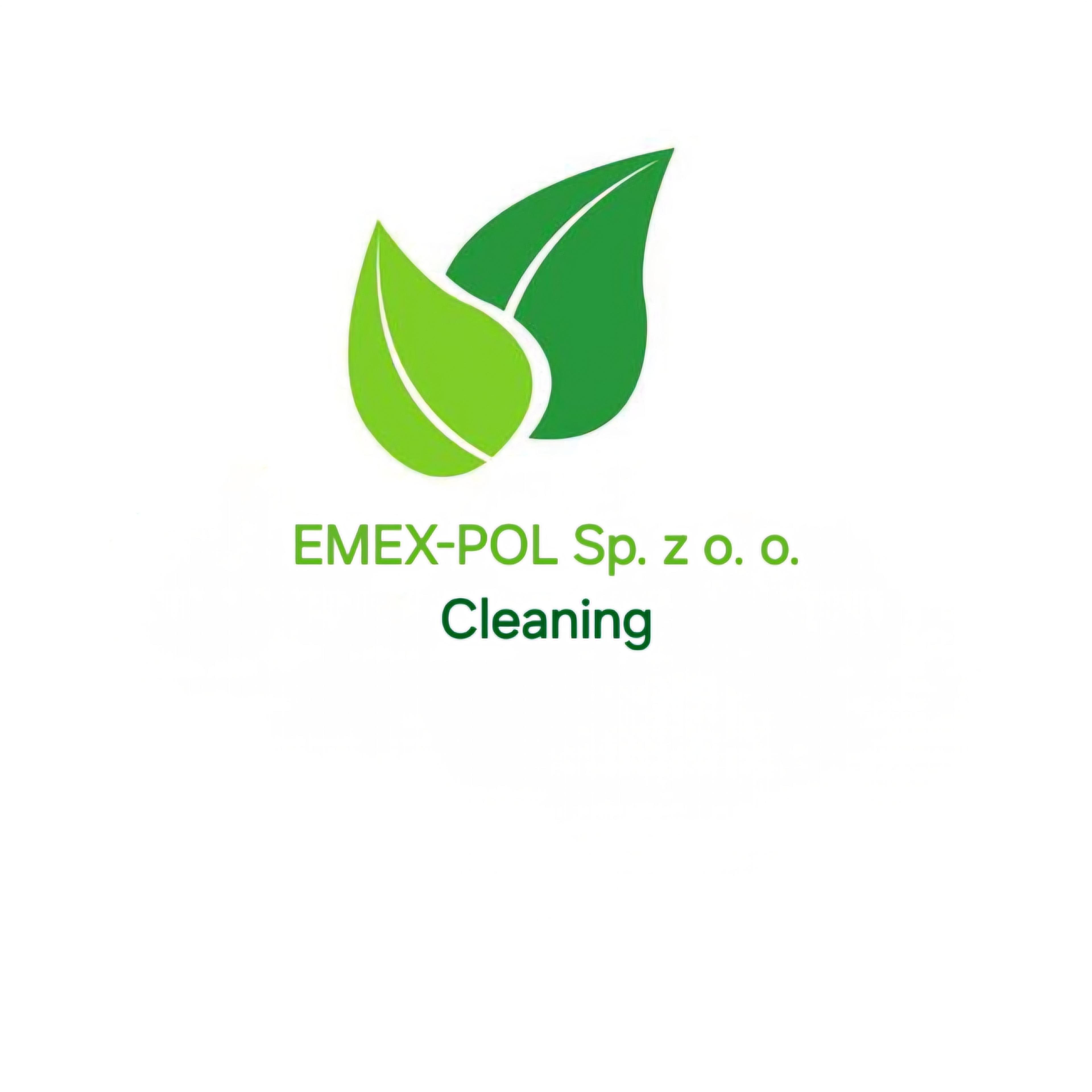 EMEX-POL Sp. Z O. O. Kompleksowe Usługi Utrzymania Czystości