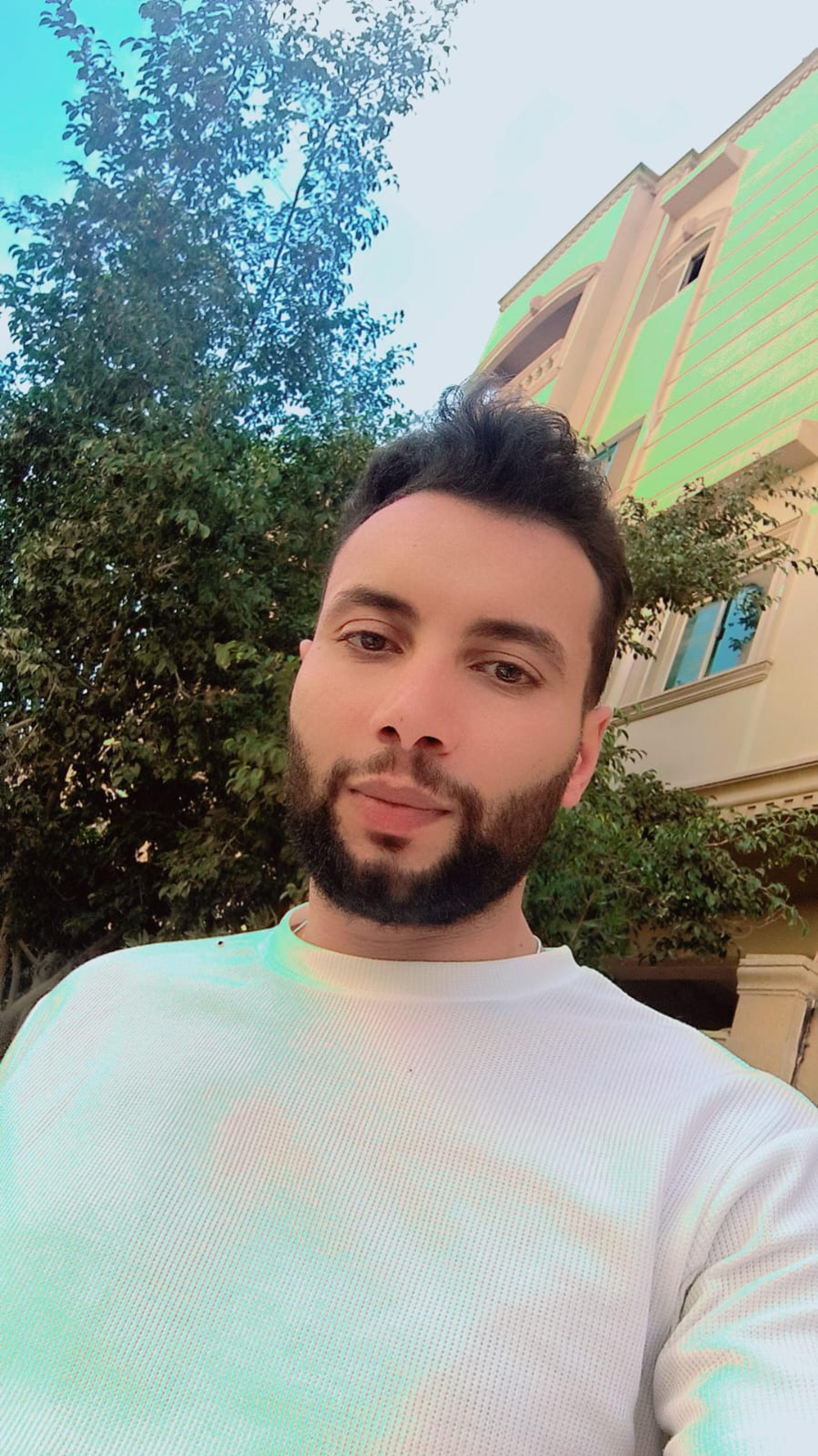 شركة الغيلان