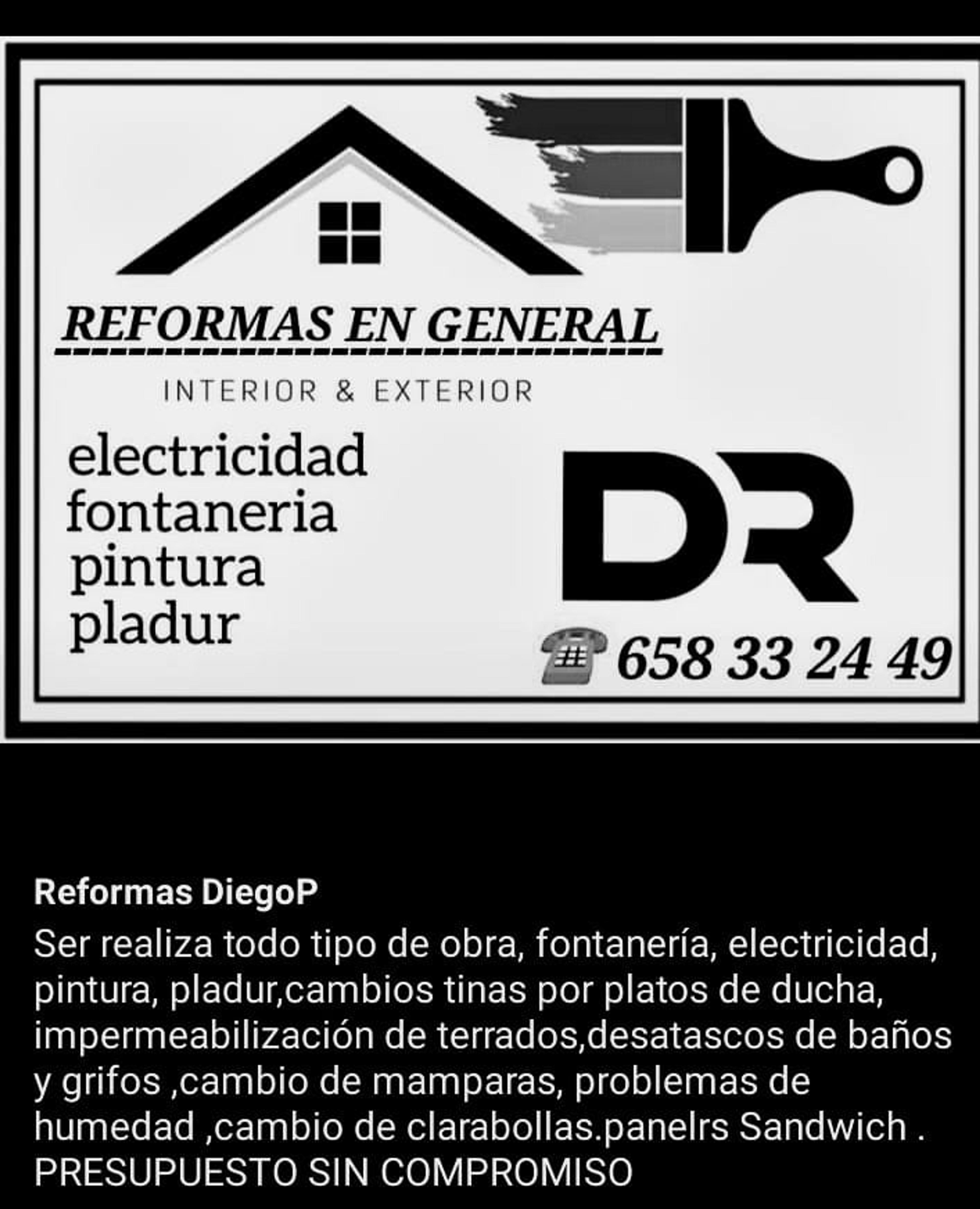 Diego Arturo Portillo Carrión