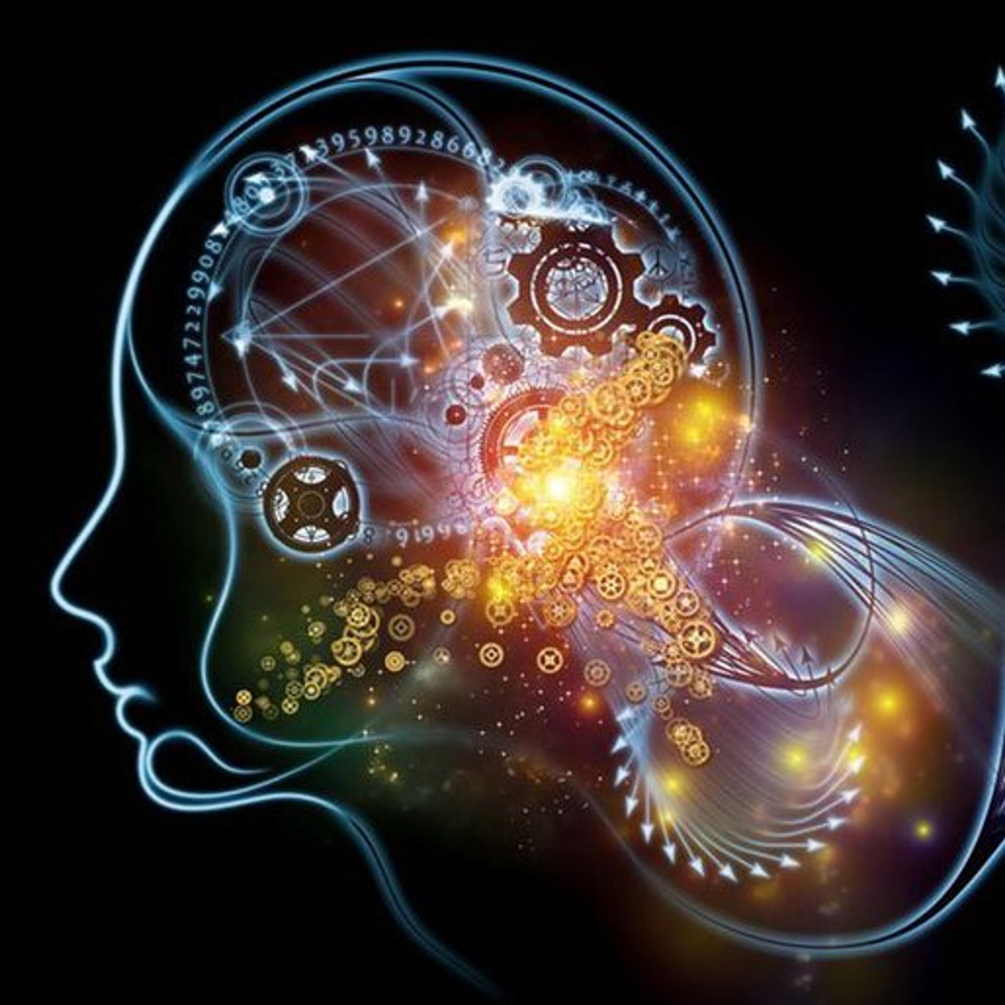 Neuroneus