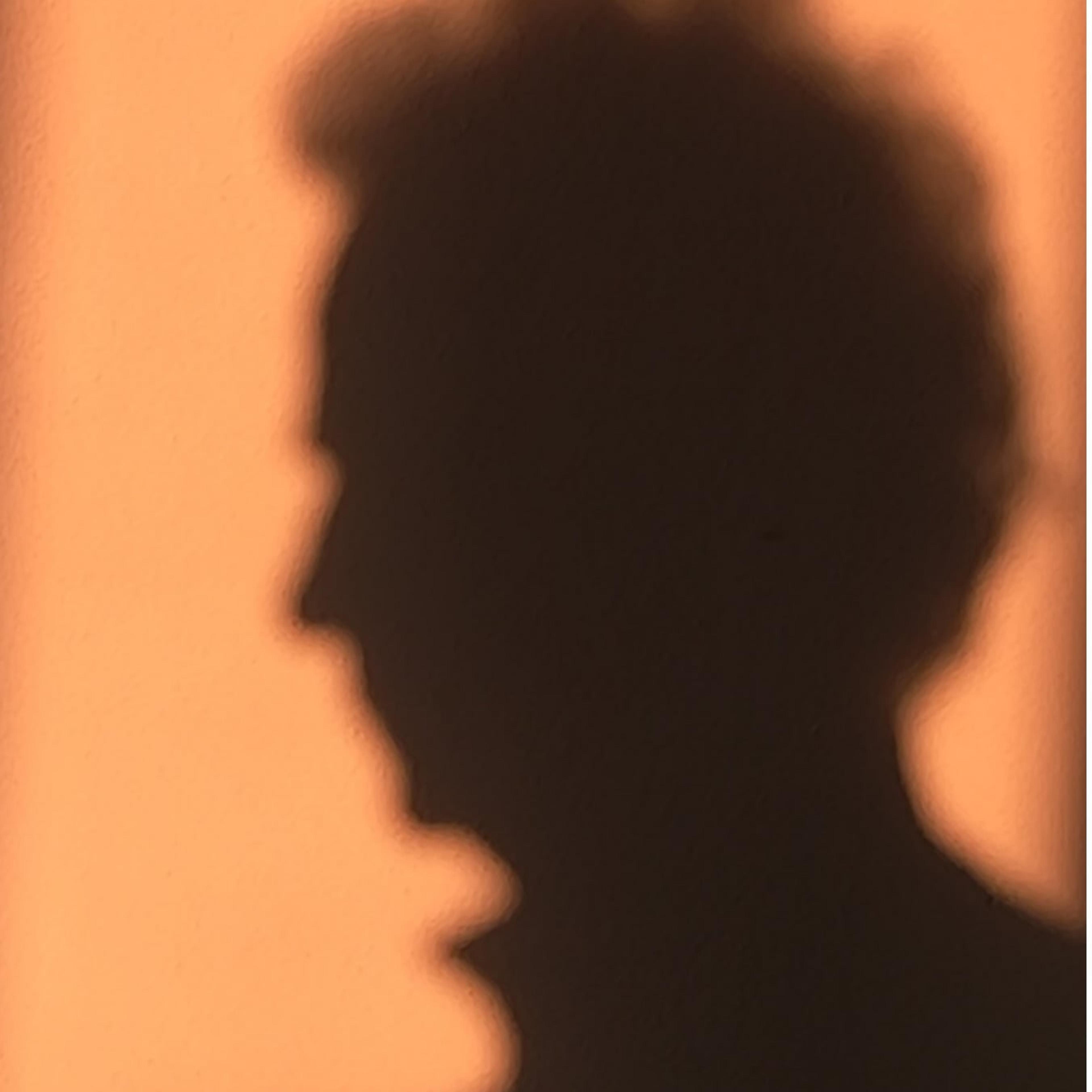 Francesco Gramegna architetto