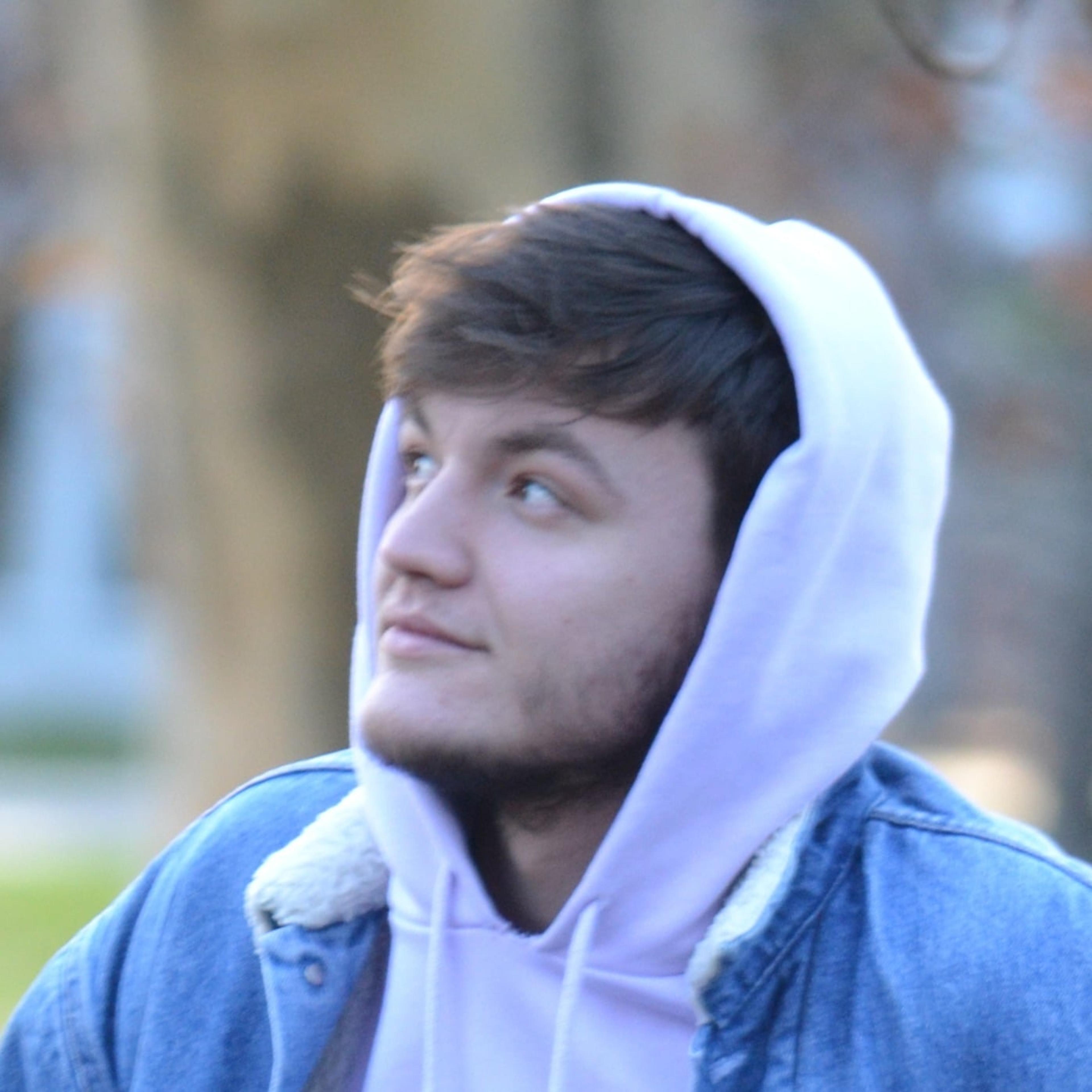 Tarik Saracevic