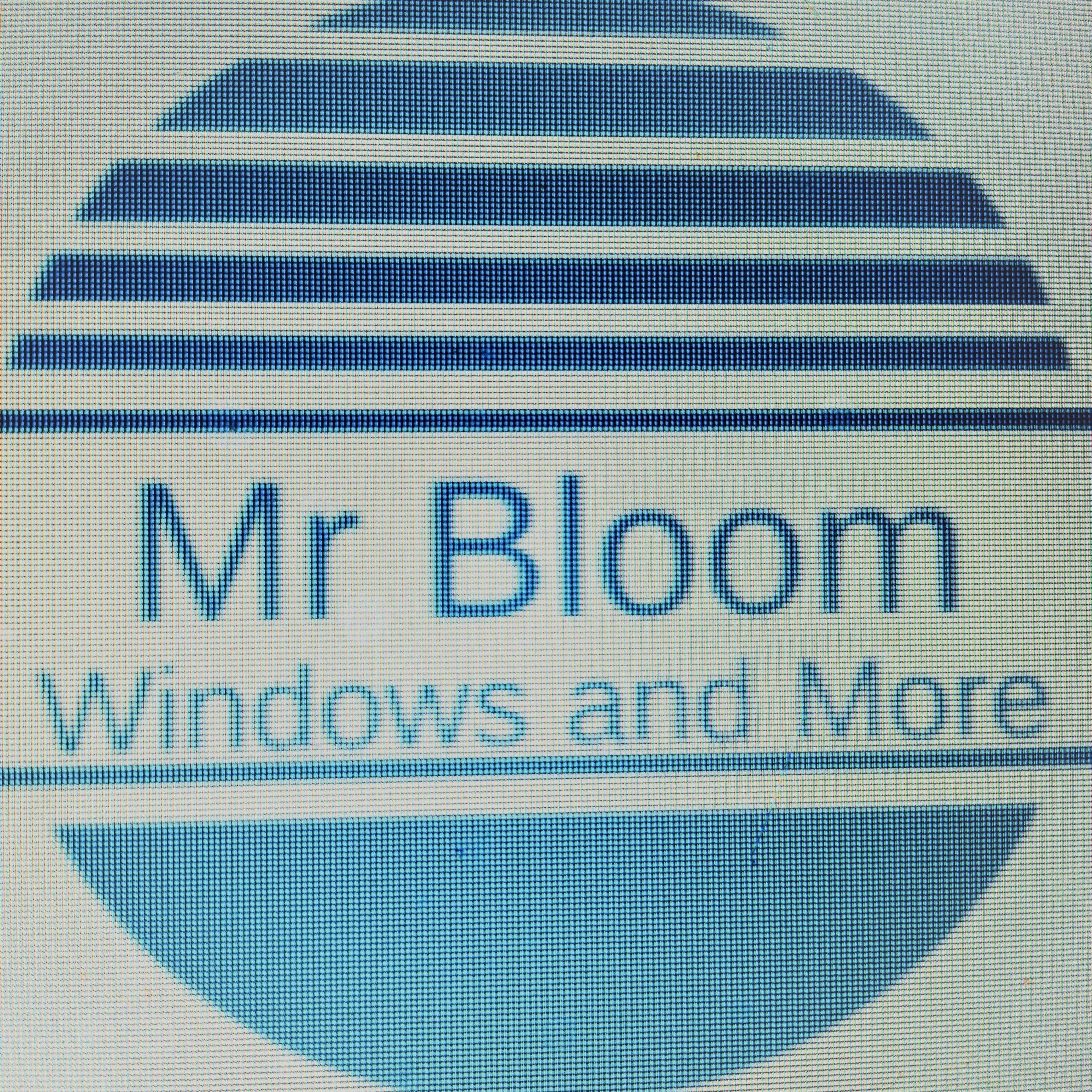 Mr bloom sas