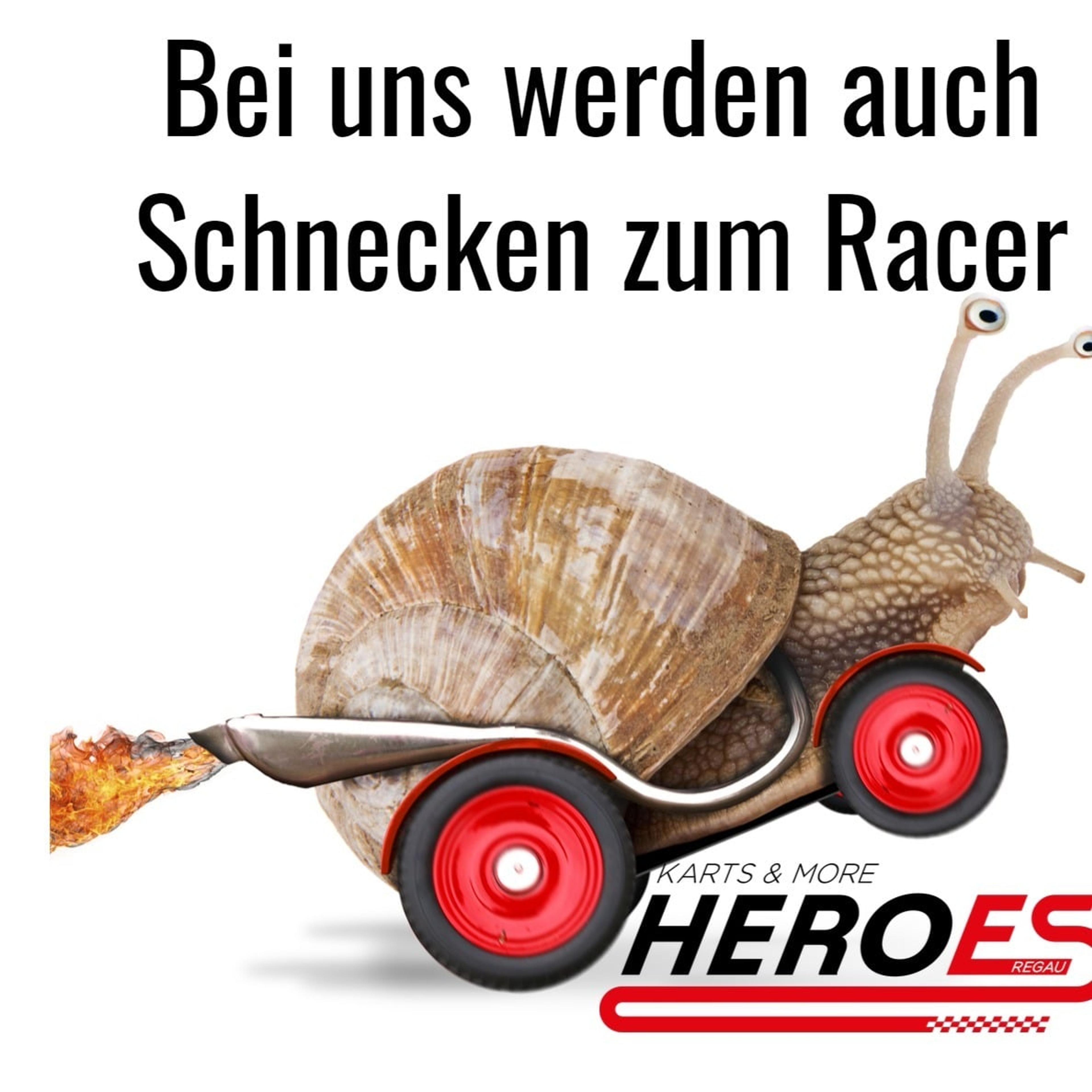 Elektrokartbahn Heroeskart Regau