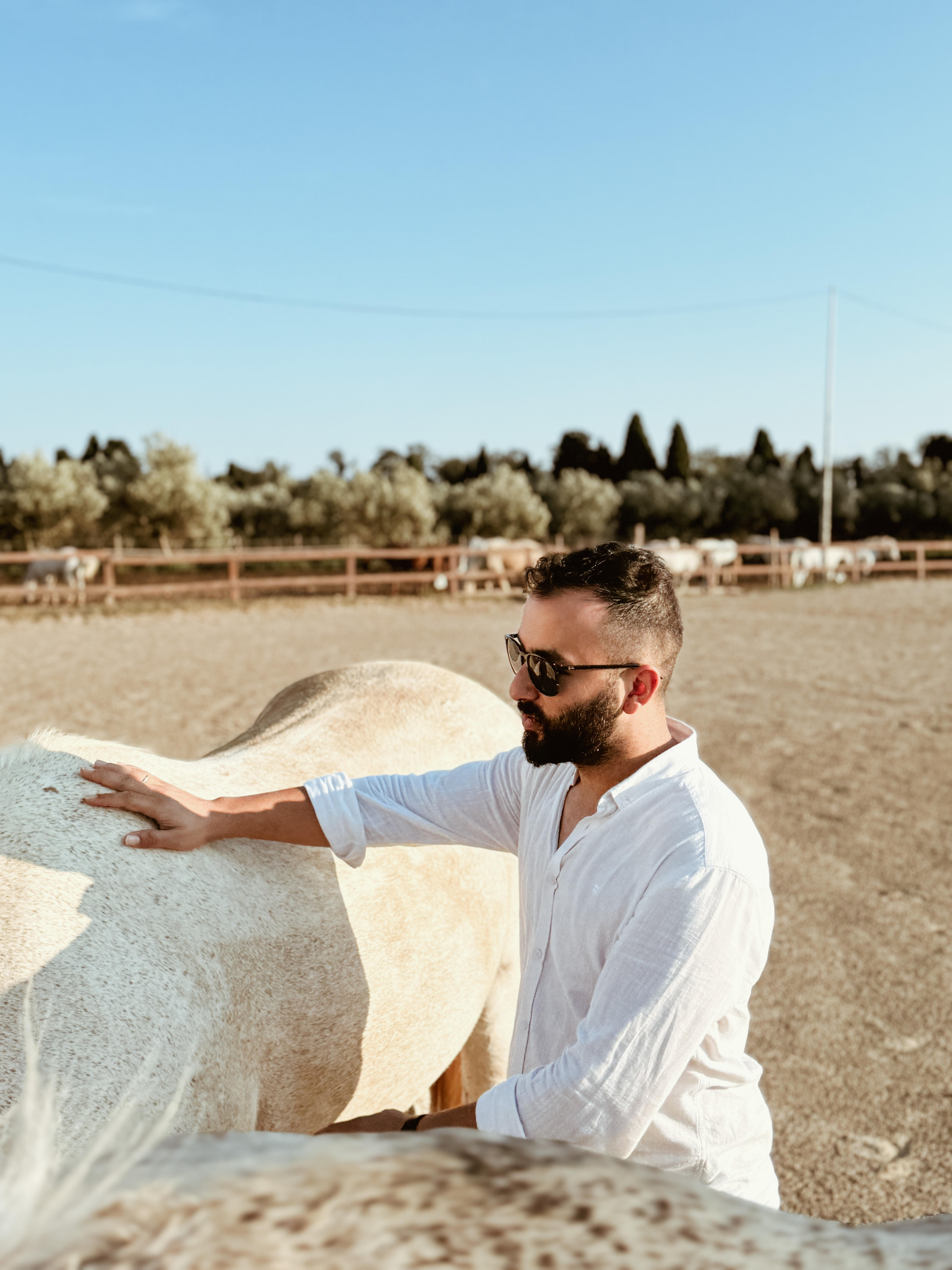 Mehmet Kamis