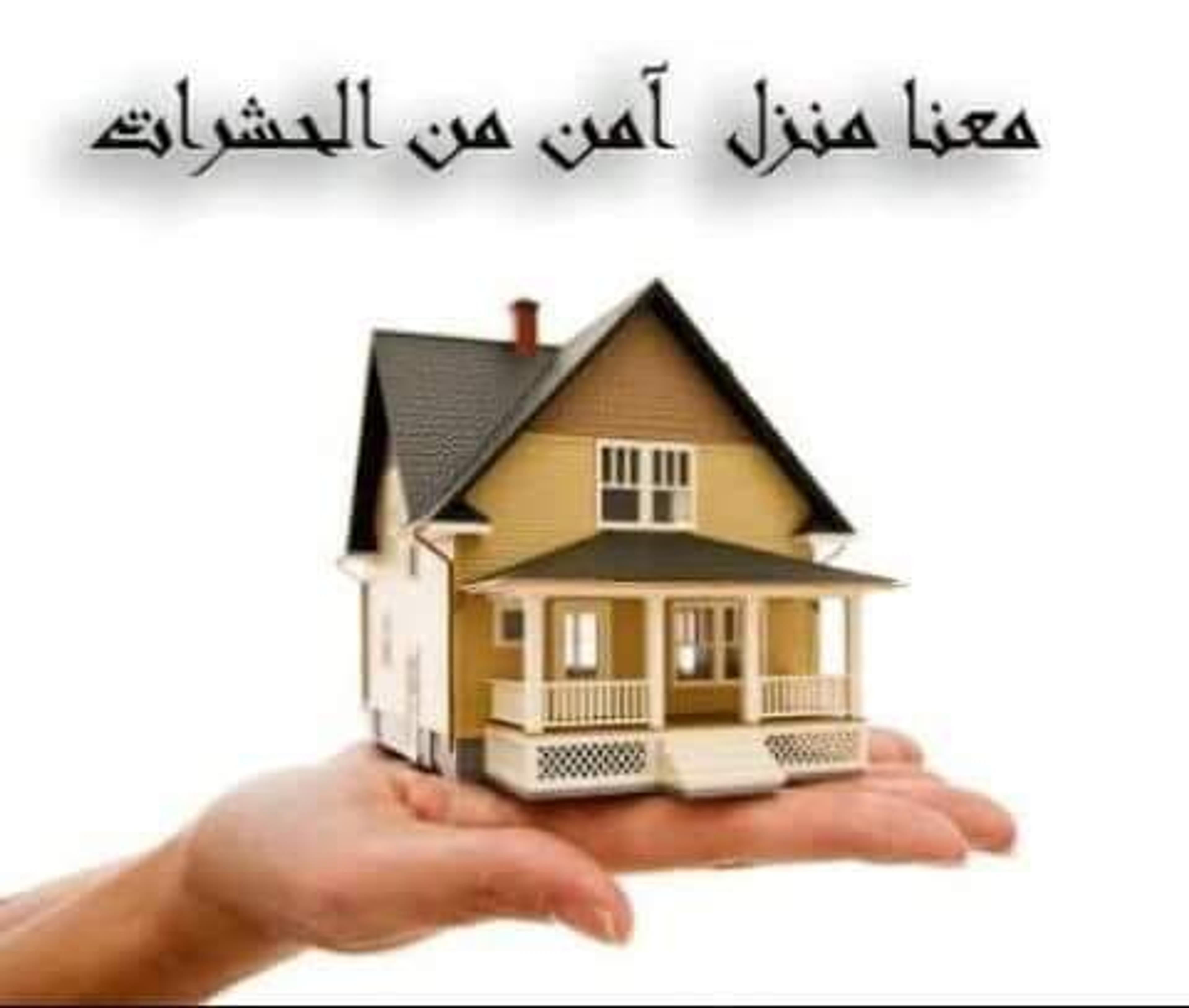 ترو سيرفيس للخدمات