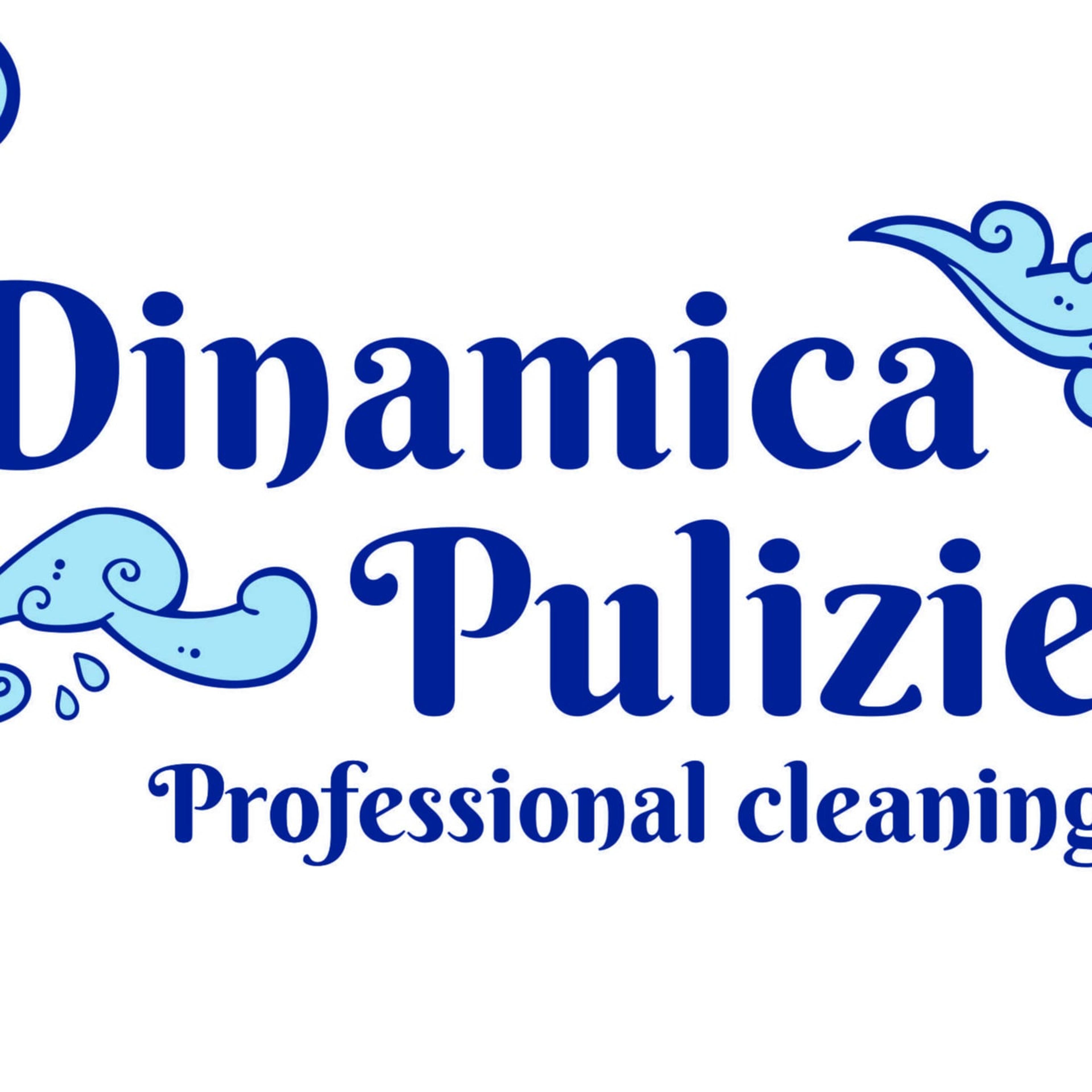 Dinamica Pulizie