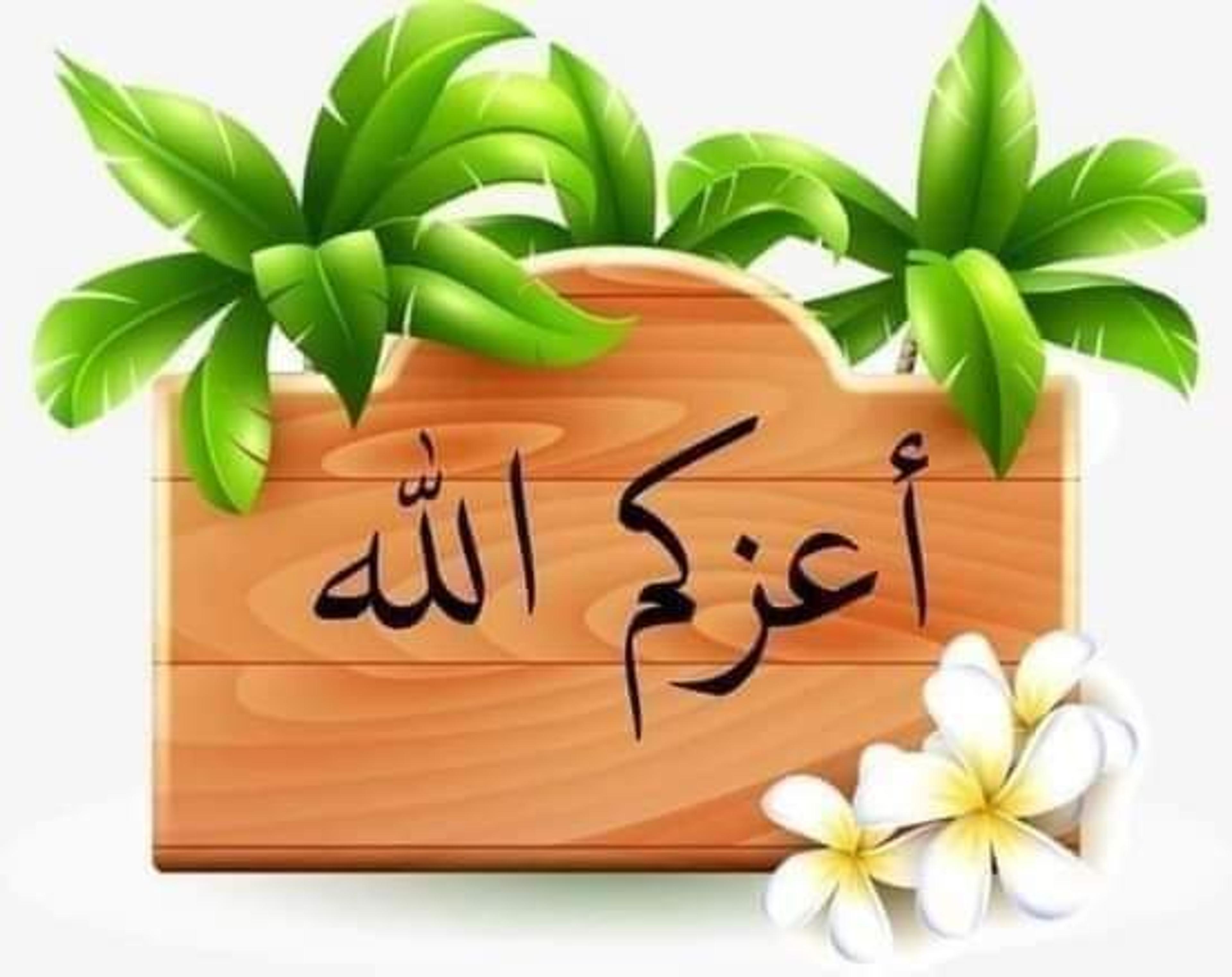 Mohamed Elwardany