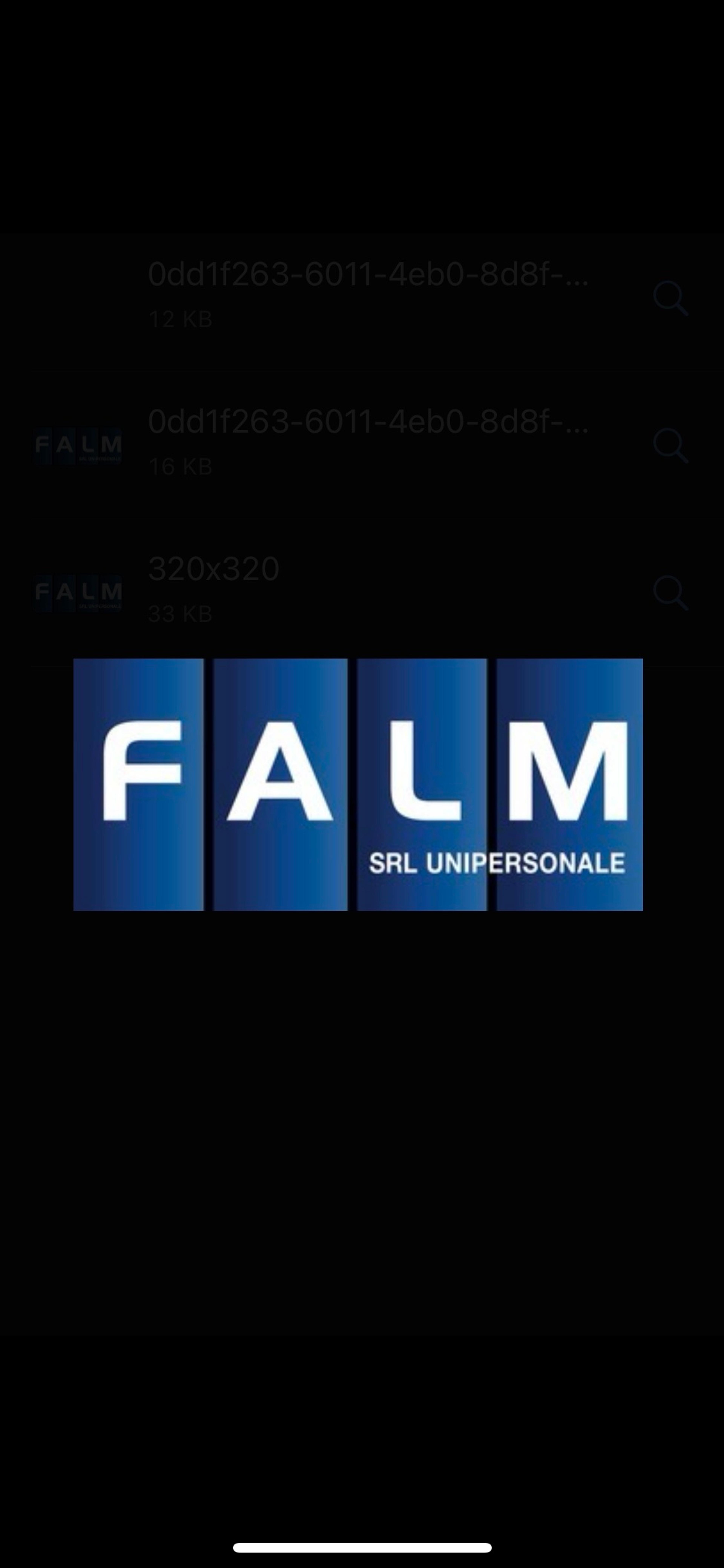 Falm s.r.l.
