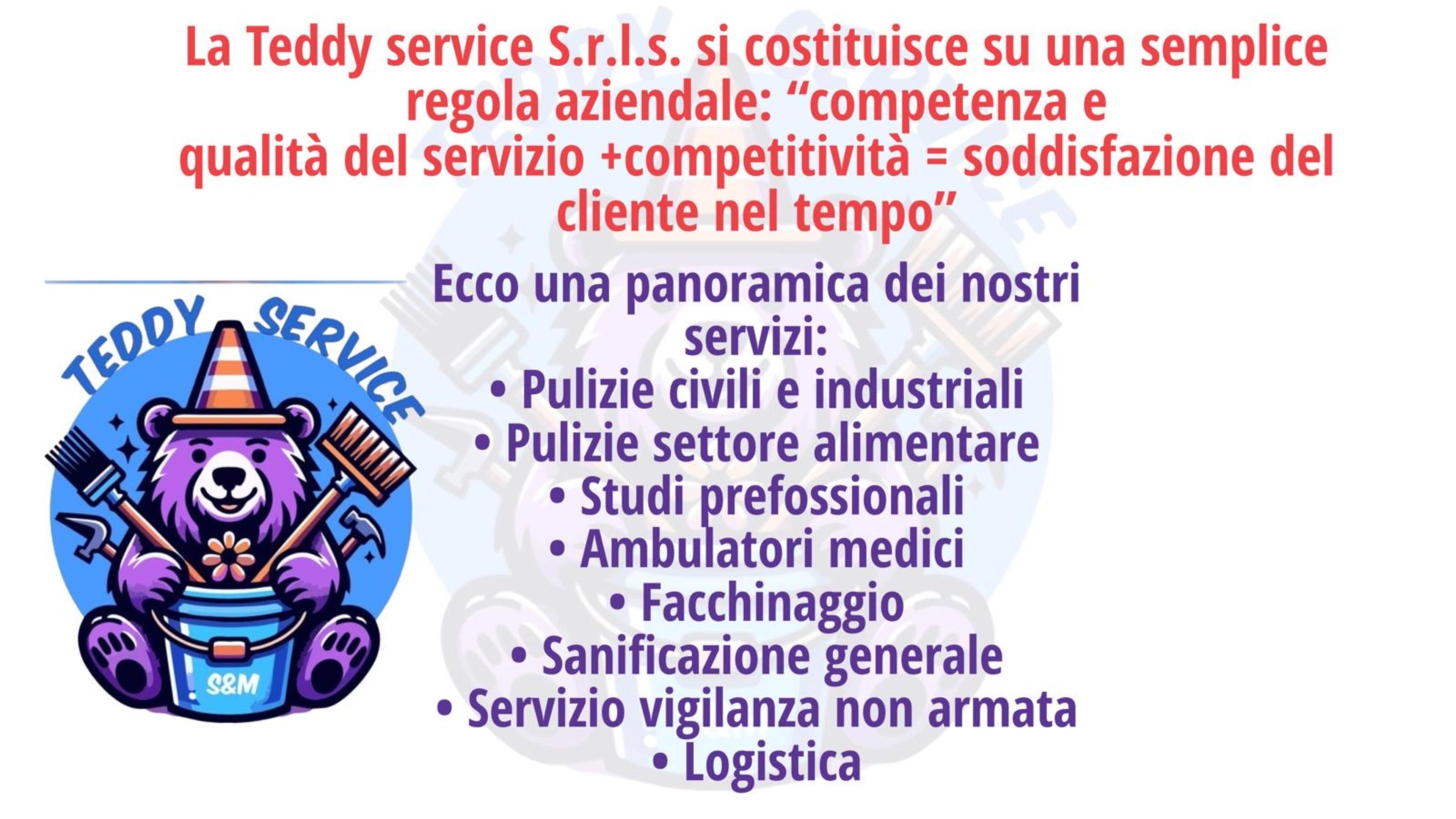 Taddy Service Srls