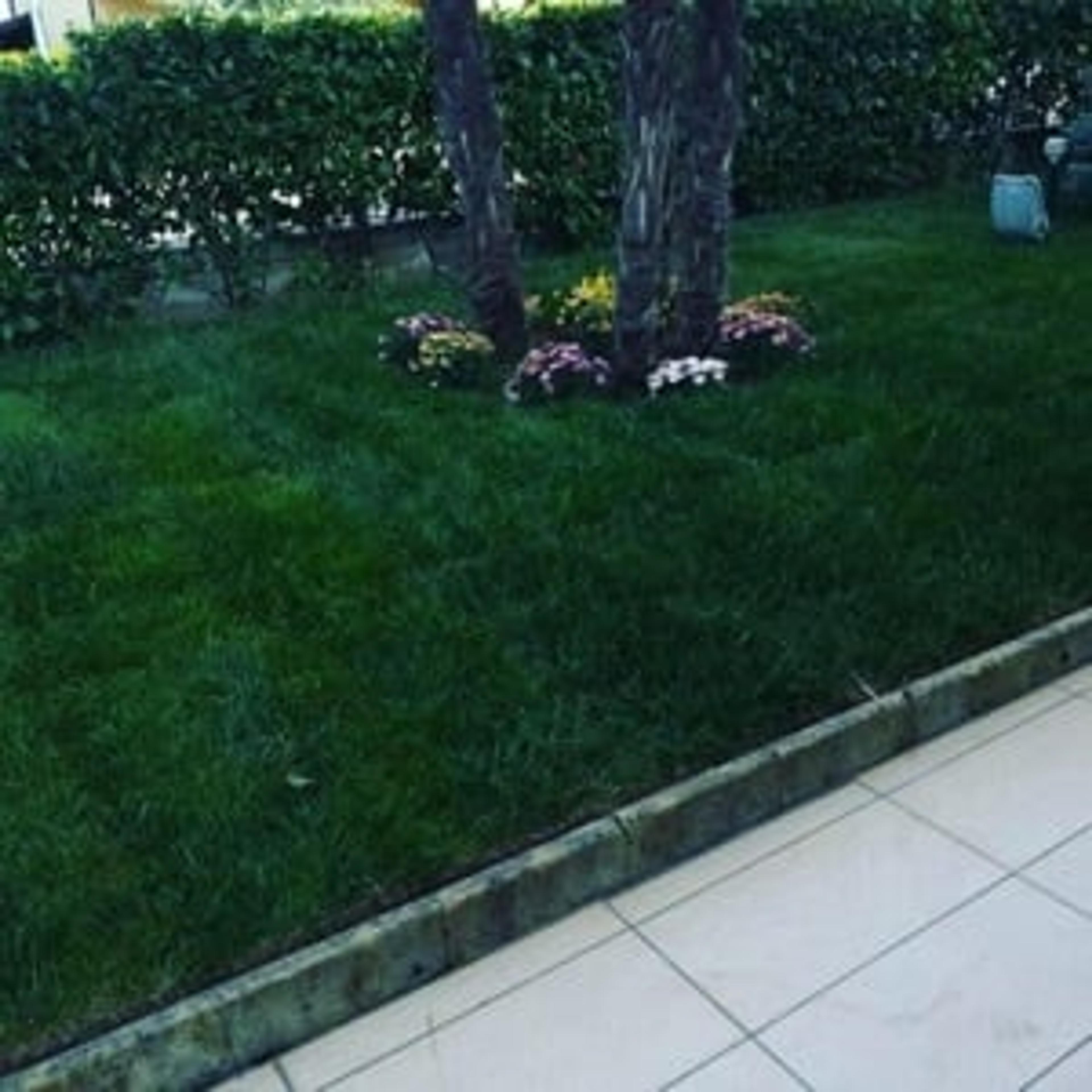 S. C. Garden