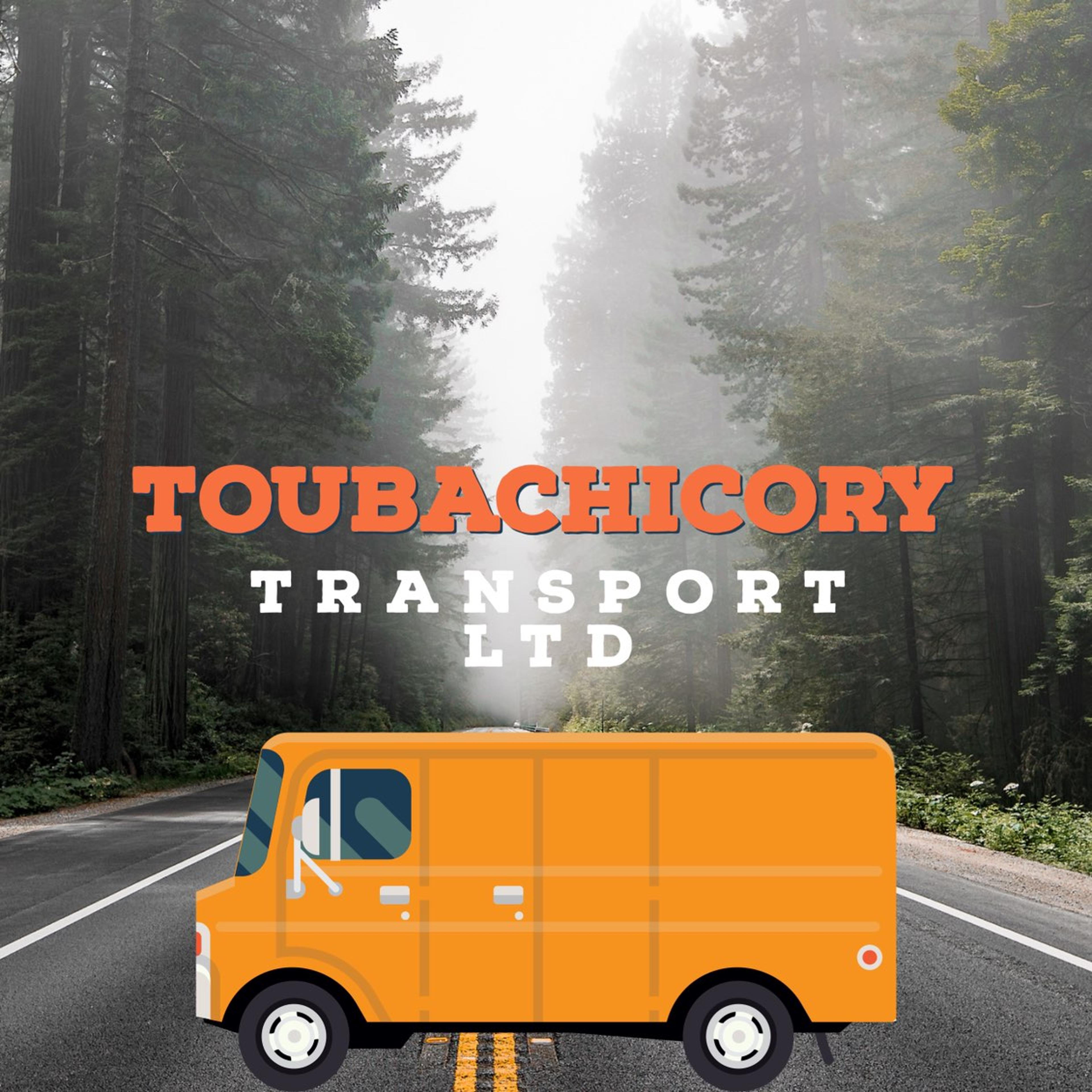 Touba chicory Ltd
