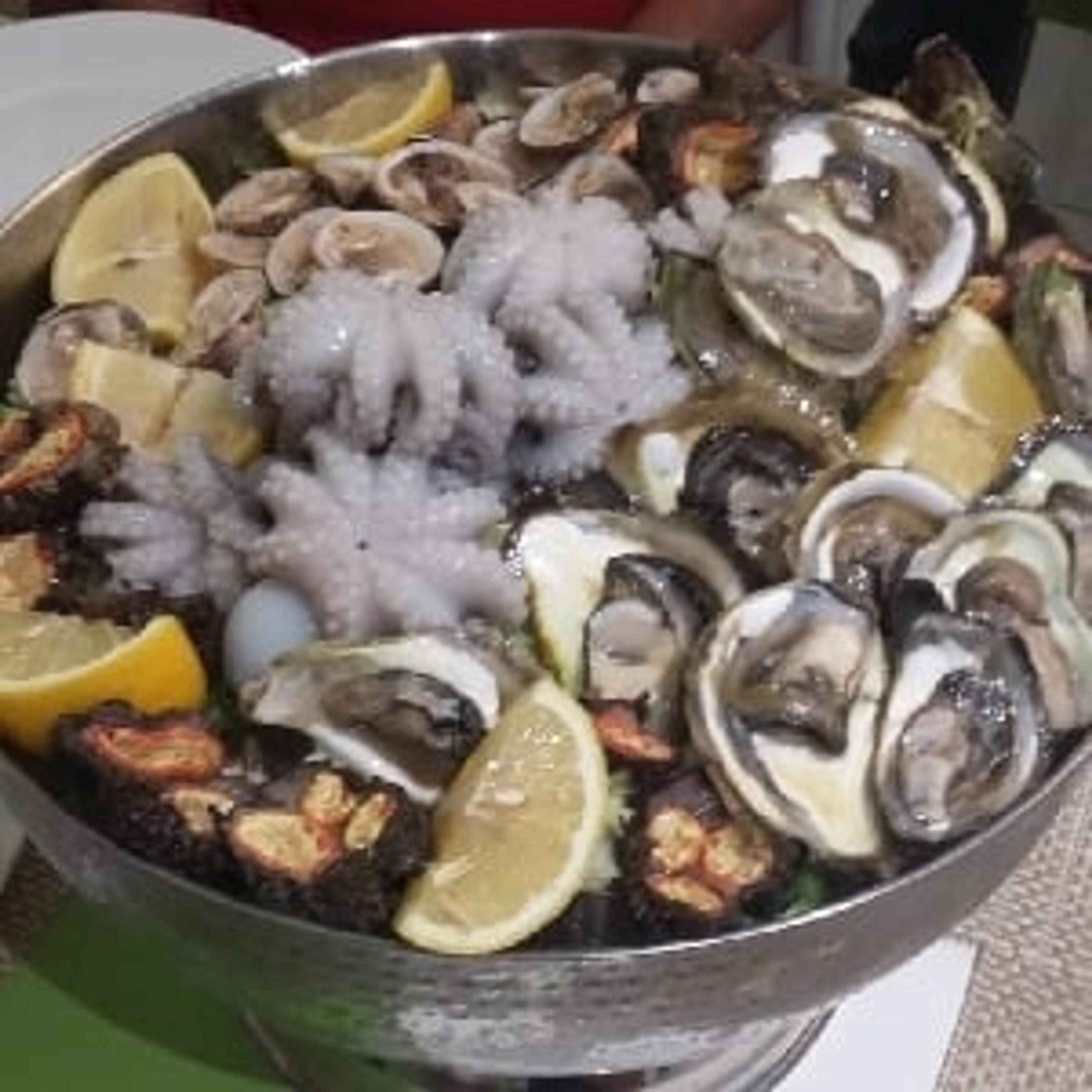 Marino Barbara