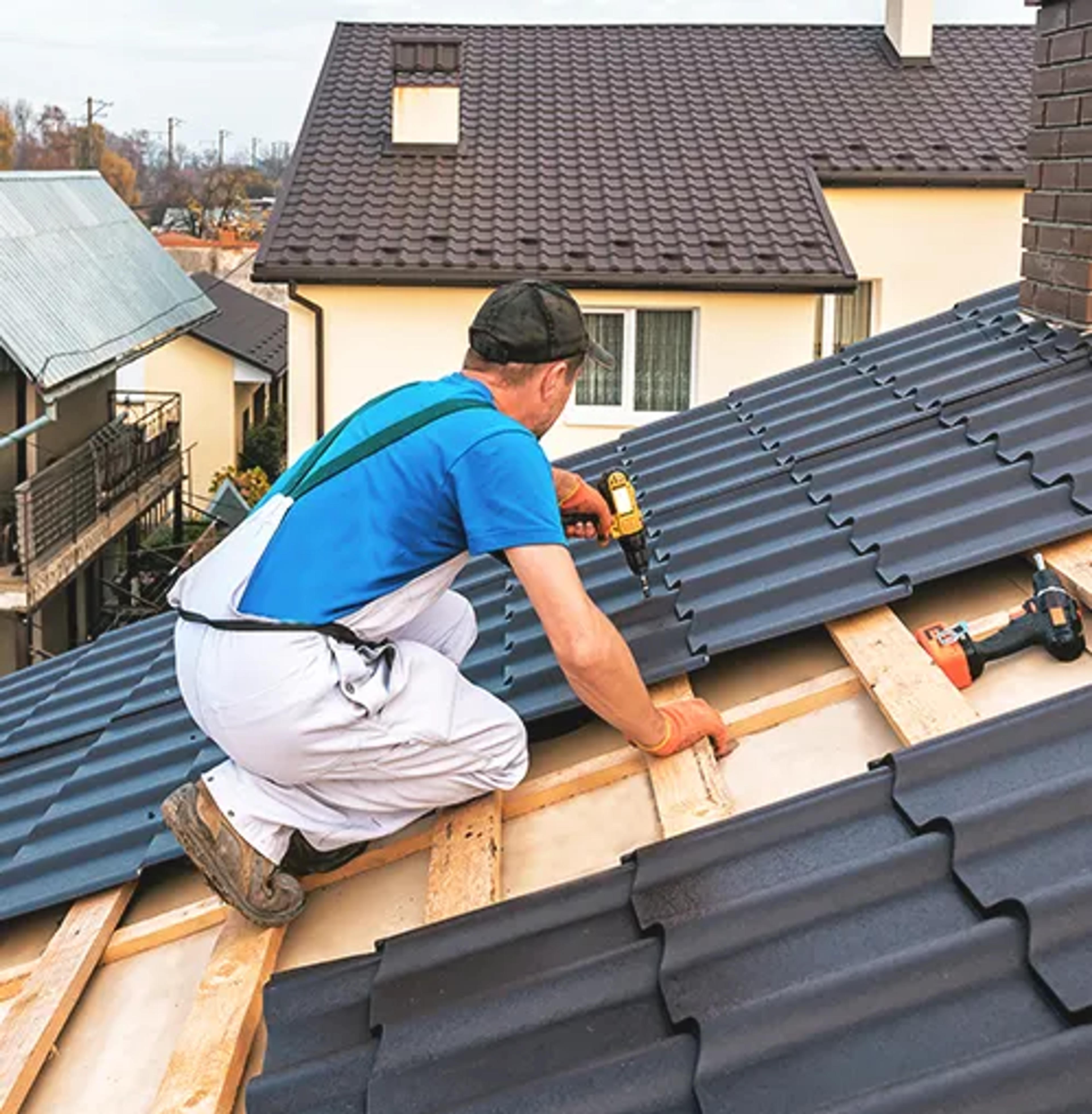 Roof Proart Prof