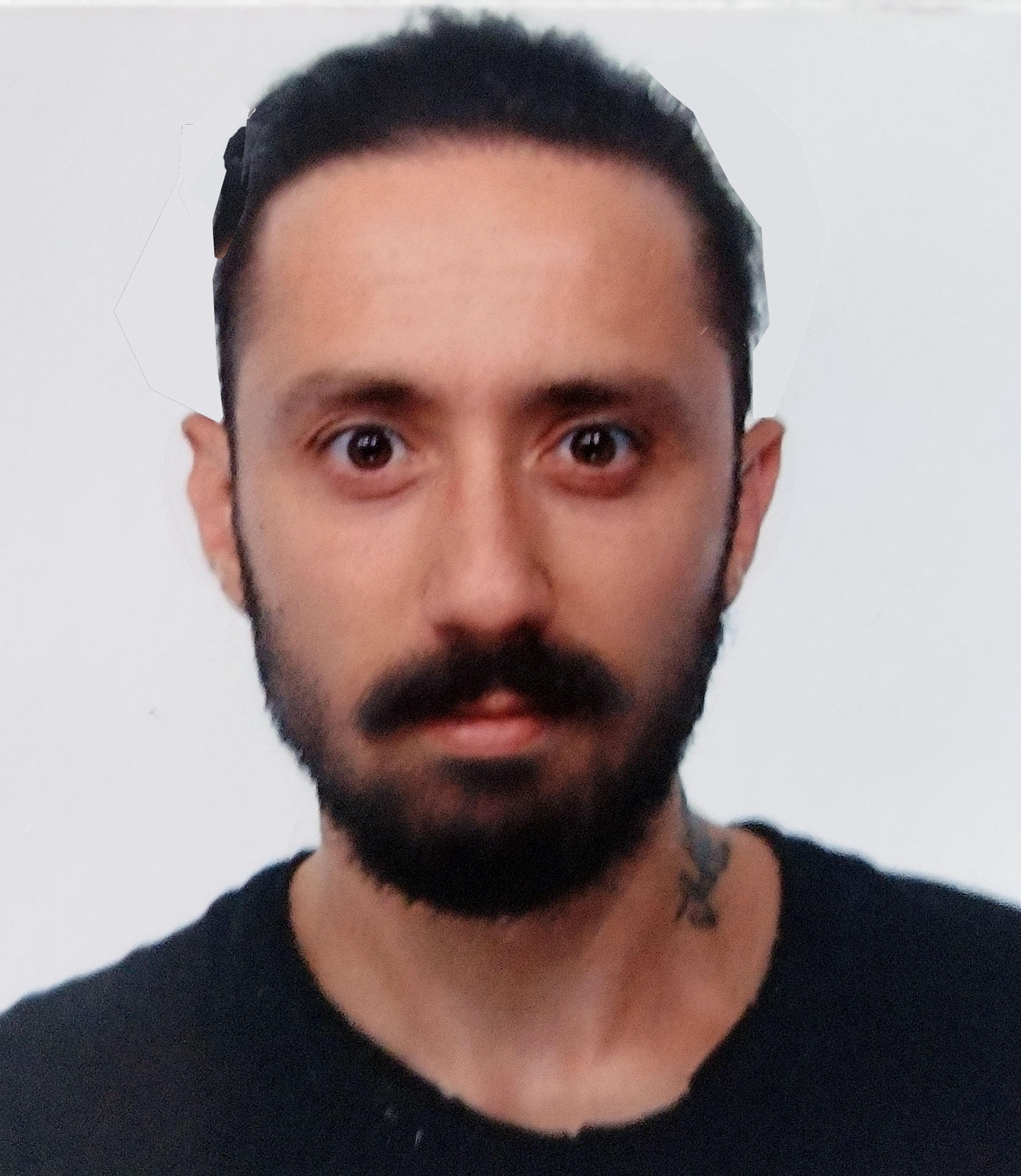 Andrea Guardini