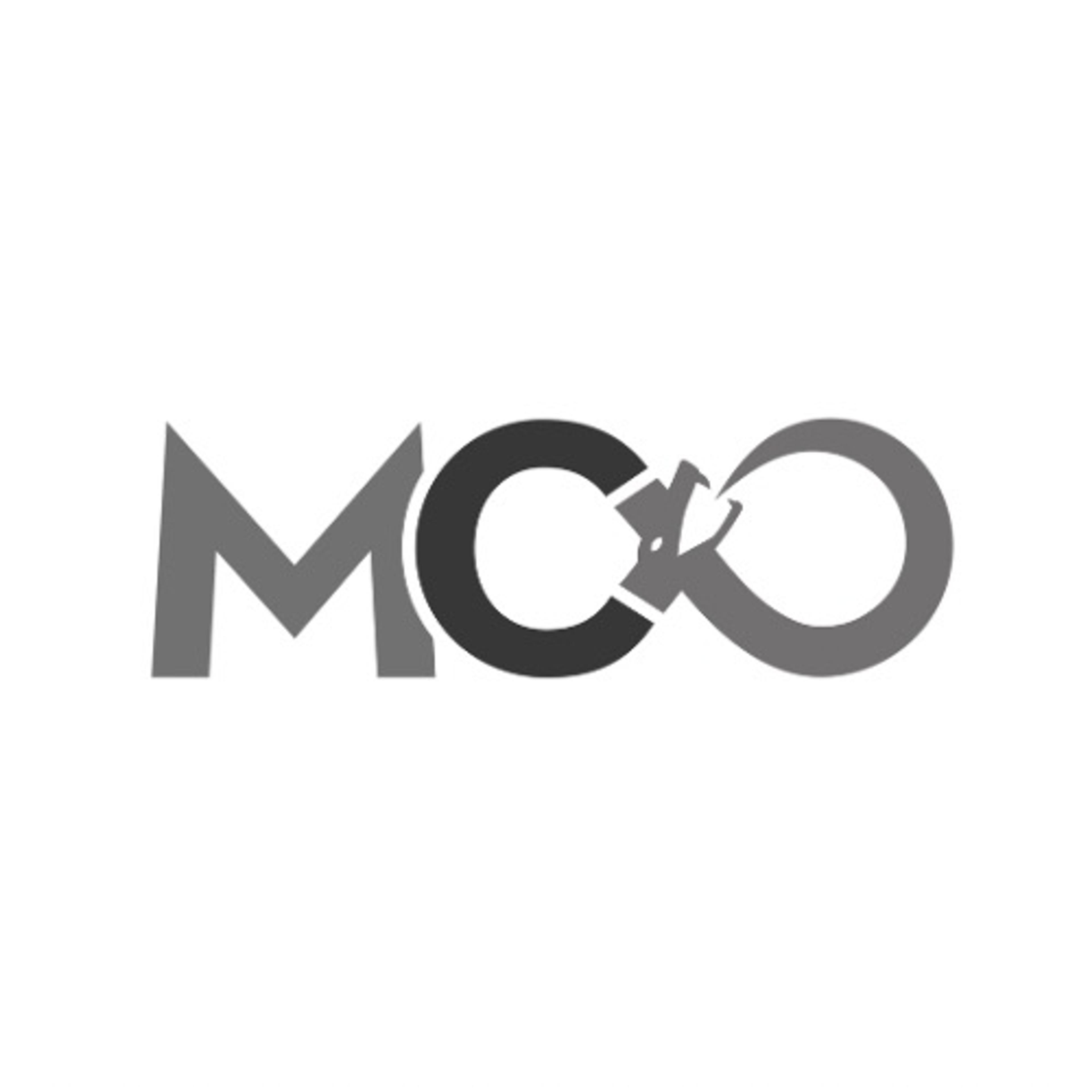 Mass Group Srl
