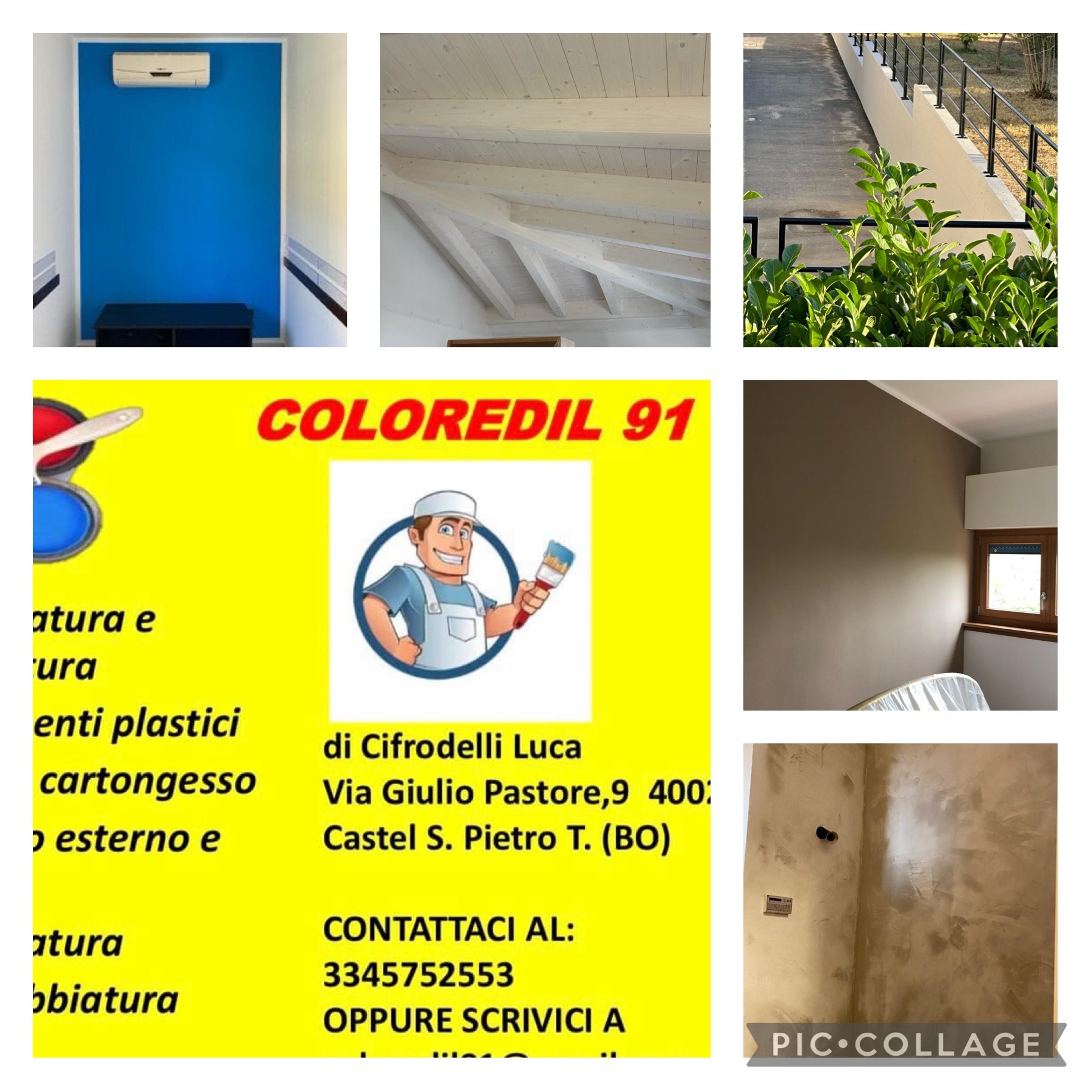 Color edil 91