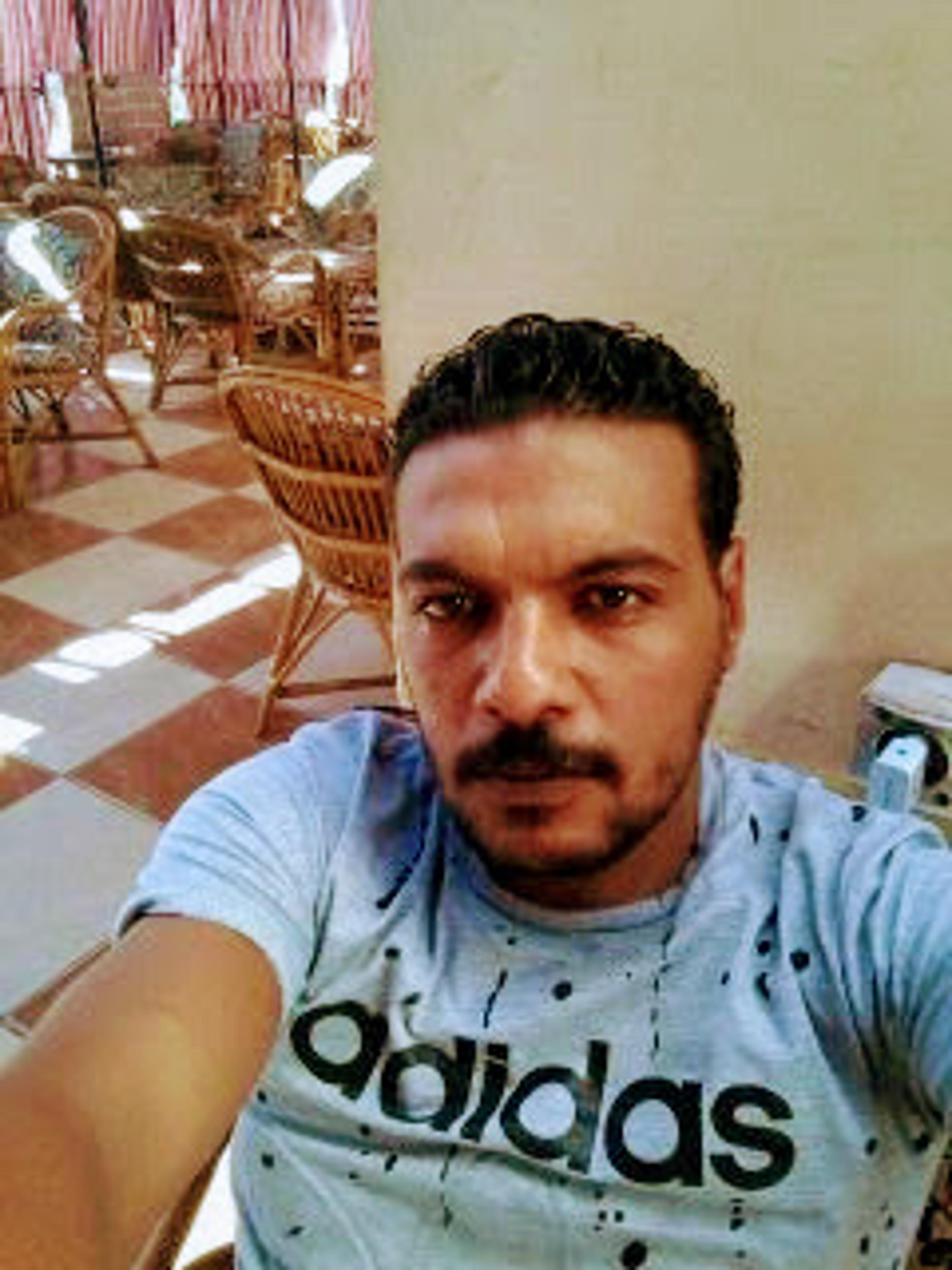 مصطفى علام