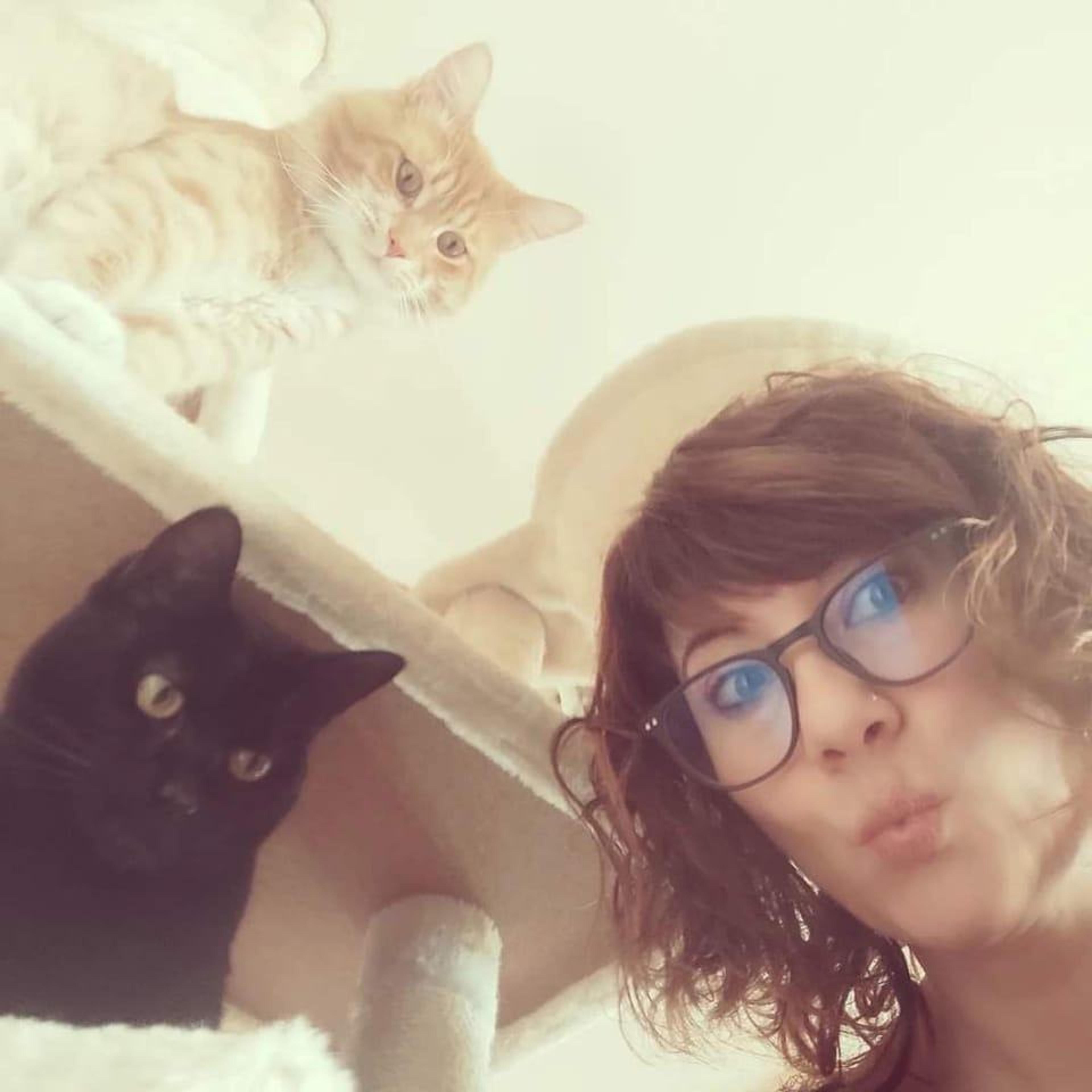 Elvi Geprini