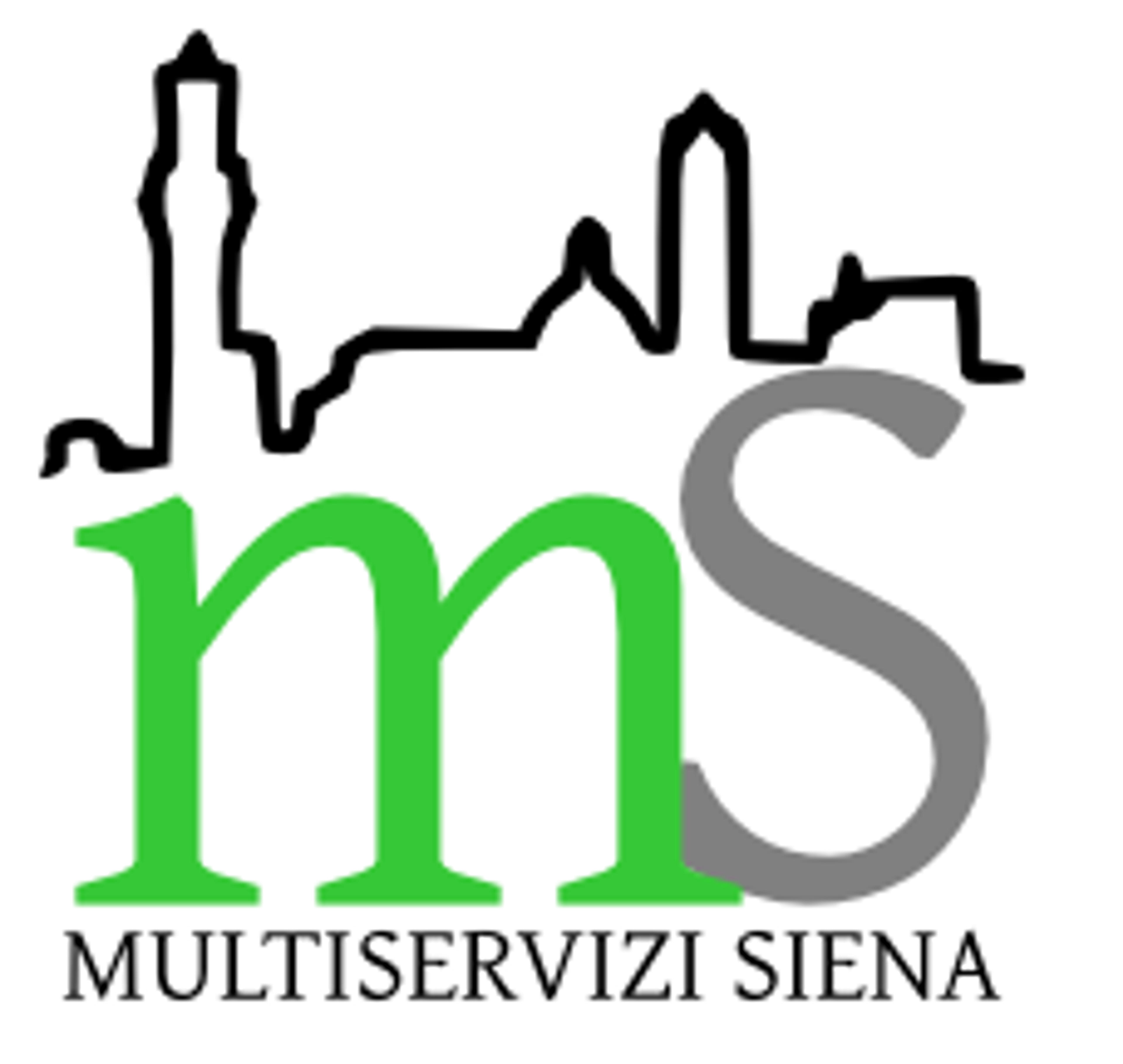 MULTISERVIZI SIENA