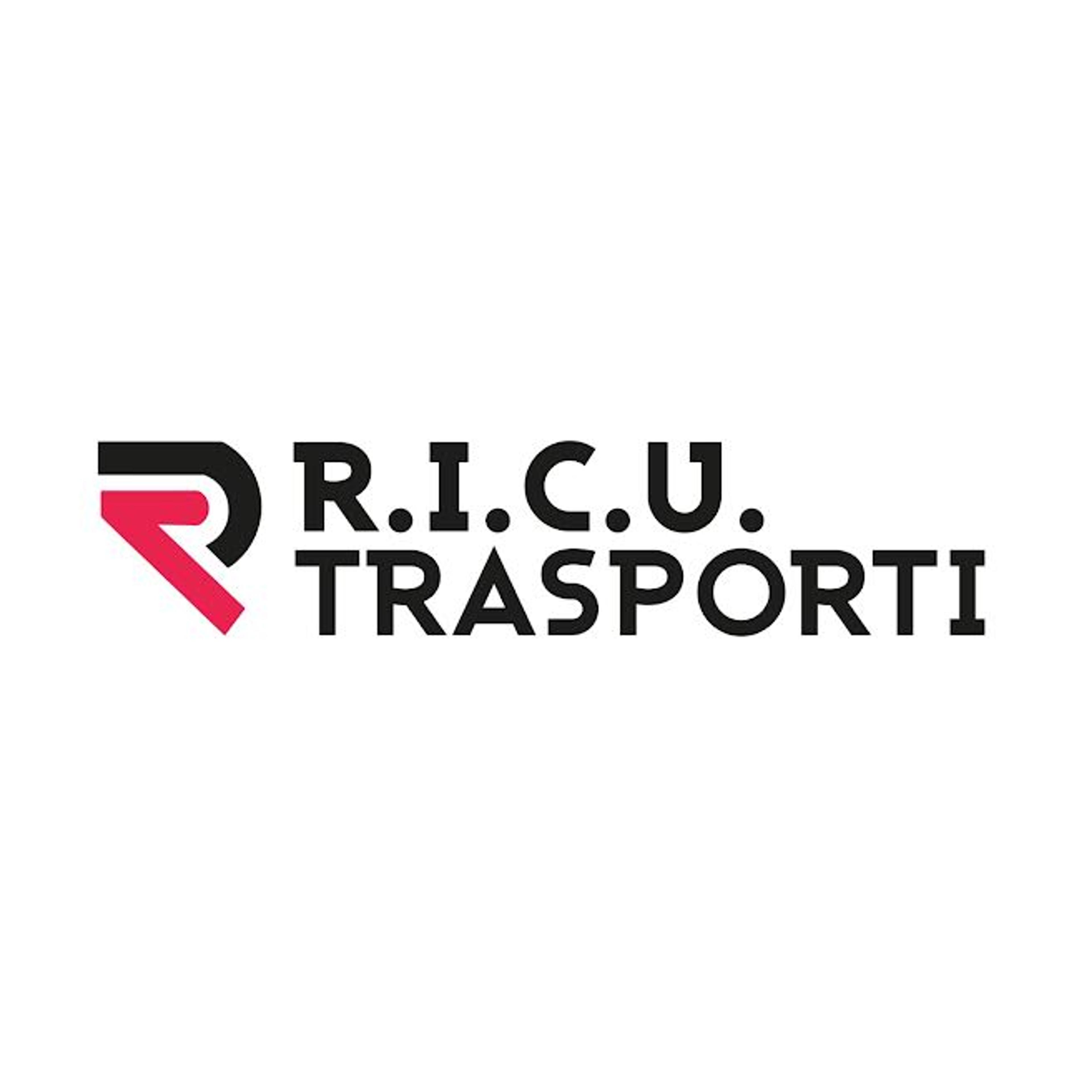 R.I.C.U. TRASPORTI DI BORDEA PETRU