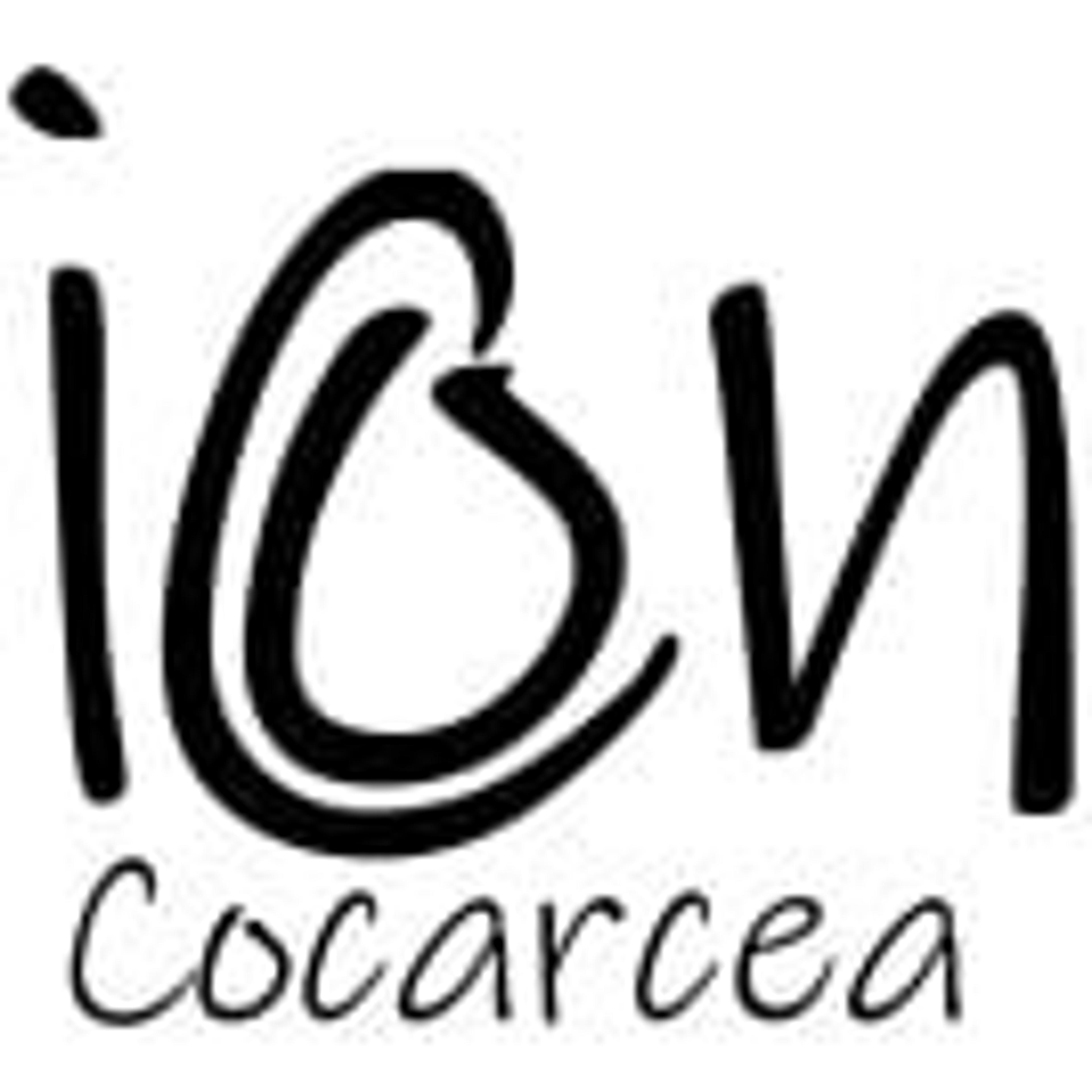 Ion Cocarcea