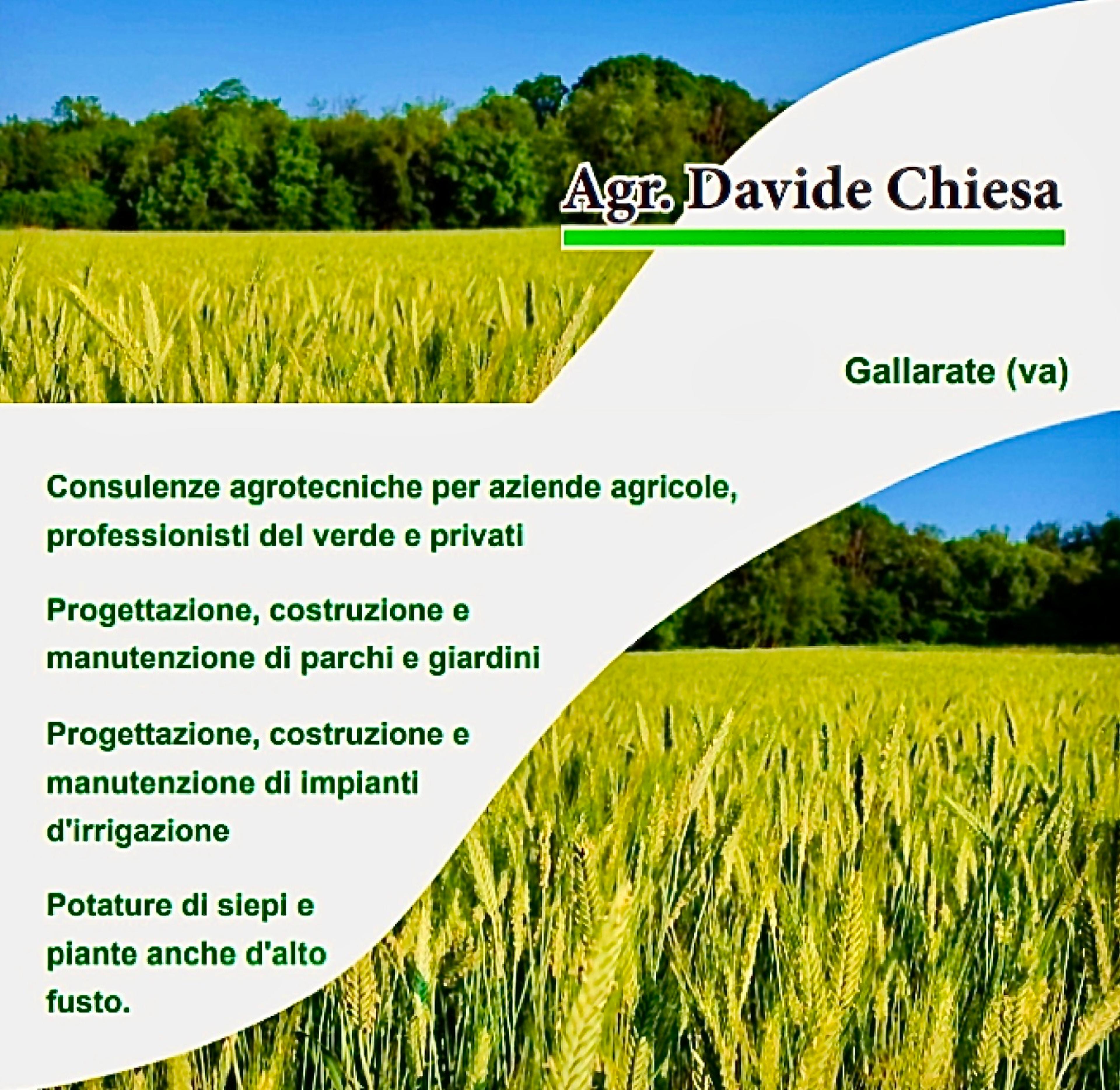 Davide Chiesa