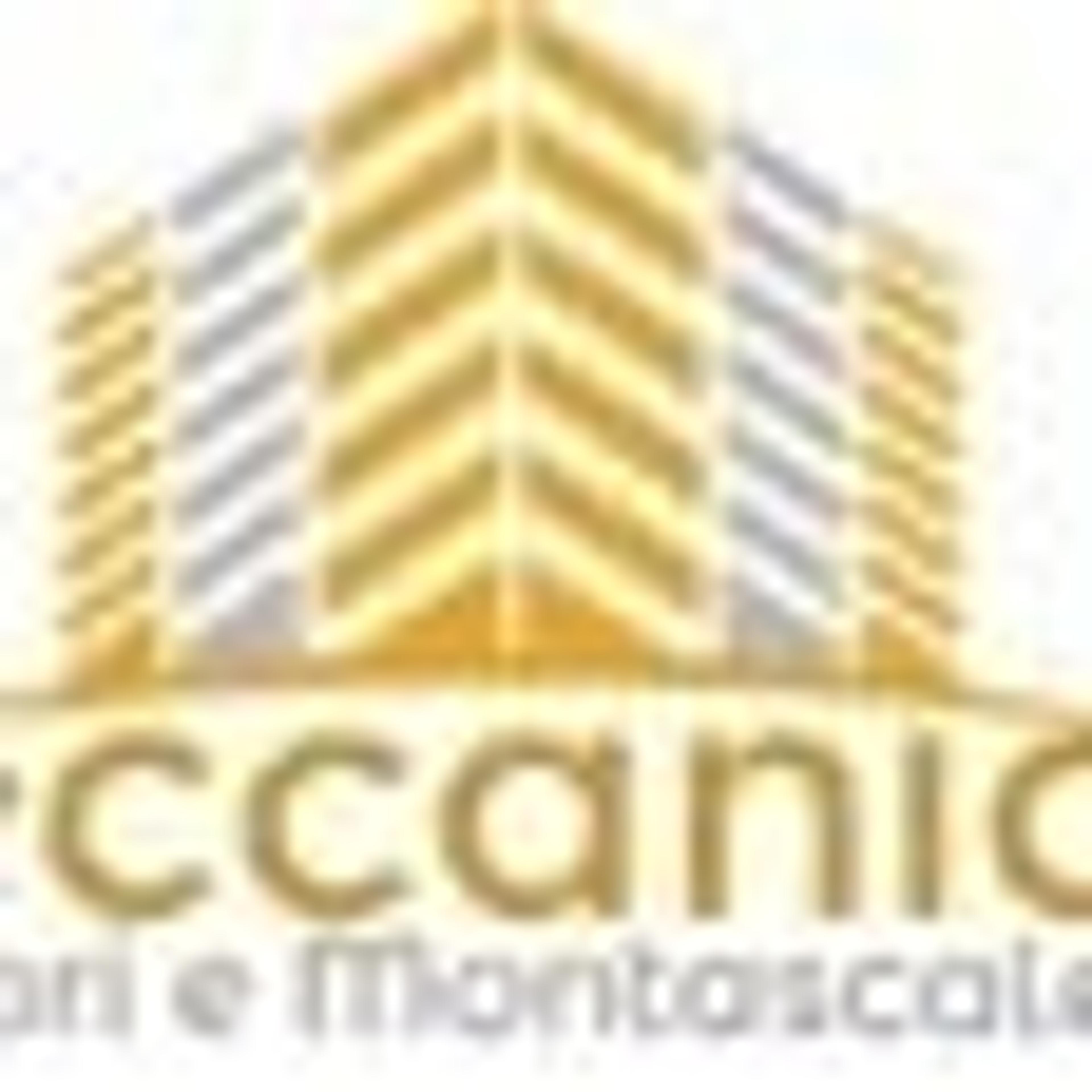 Meccanic system srl montascale