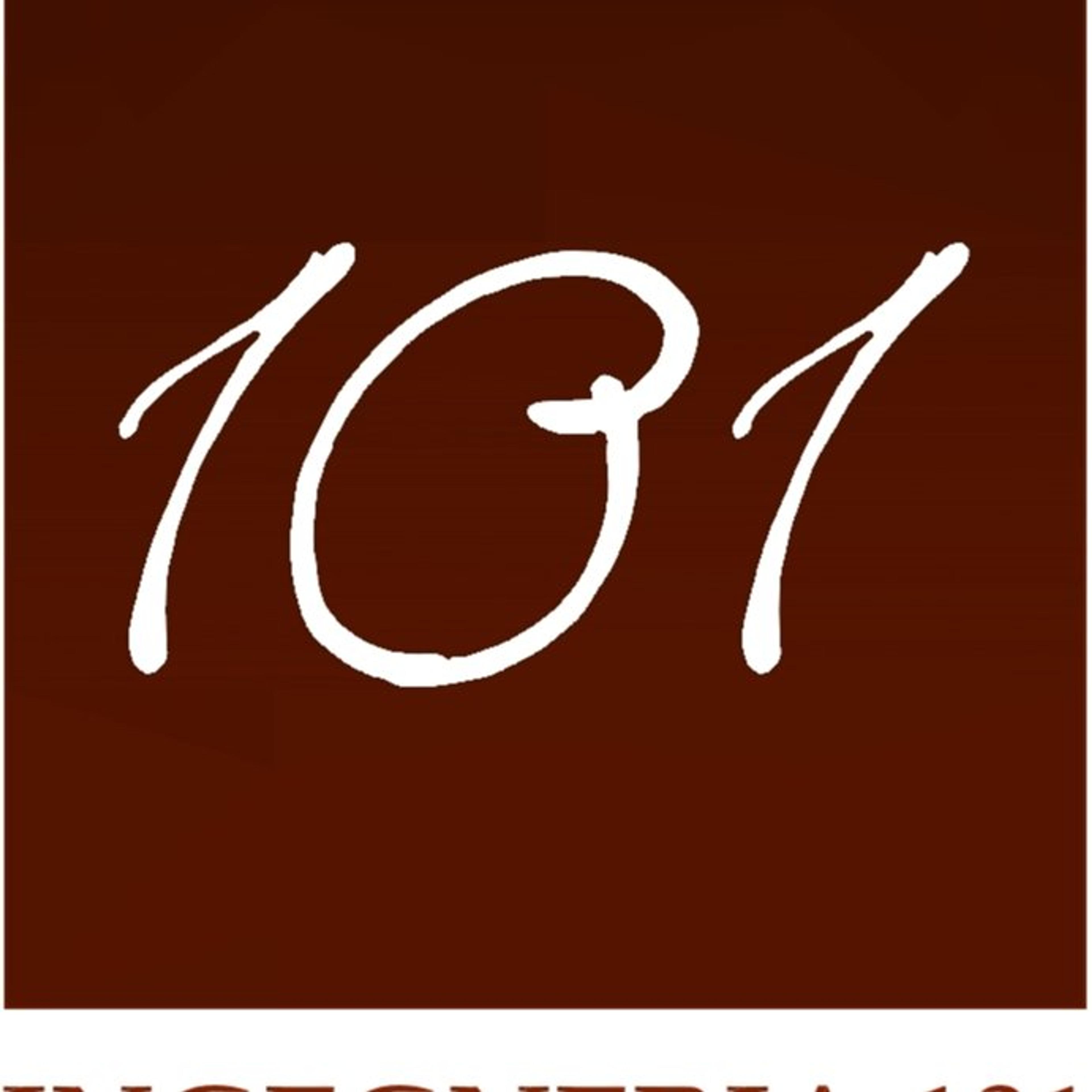 INGEGNERIA 101
