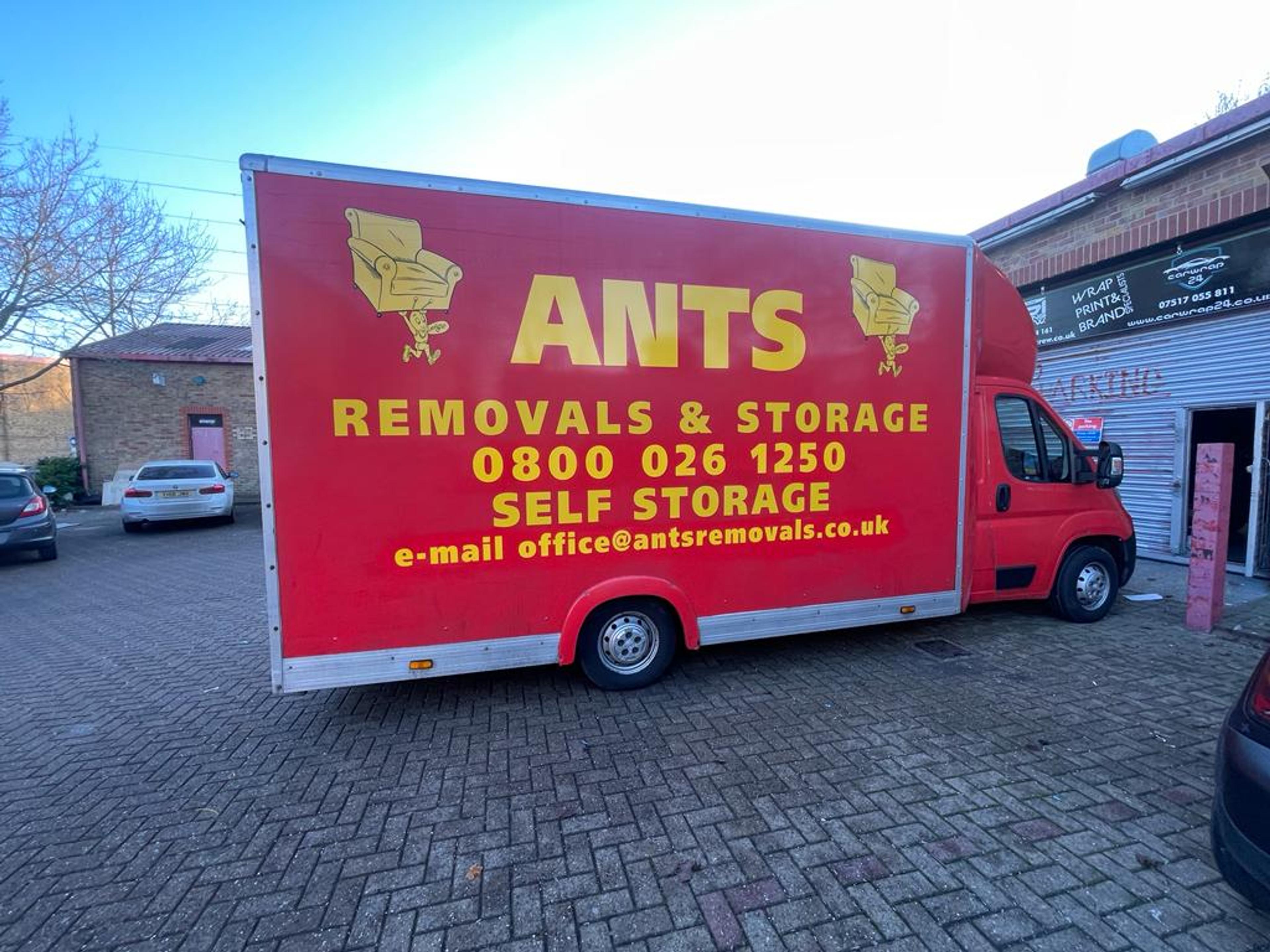 Ants removals 2 ltd