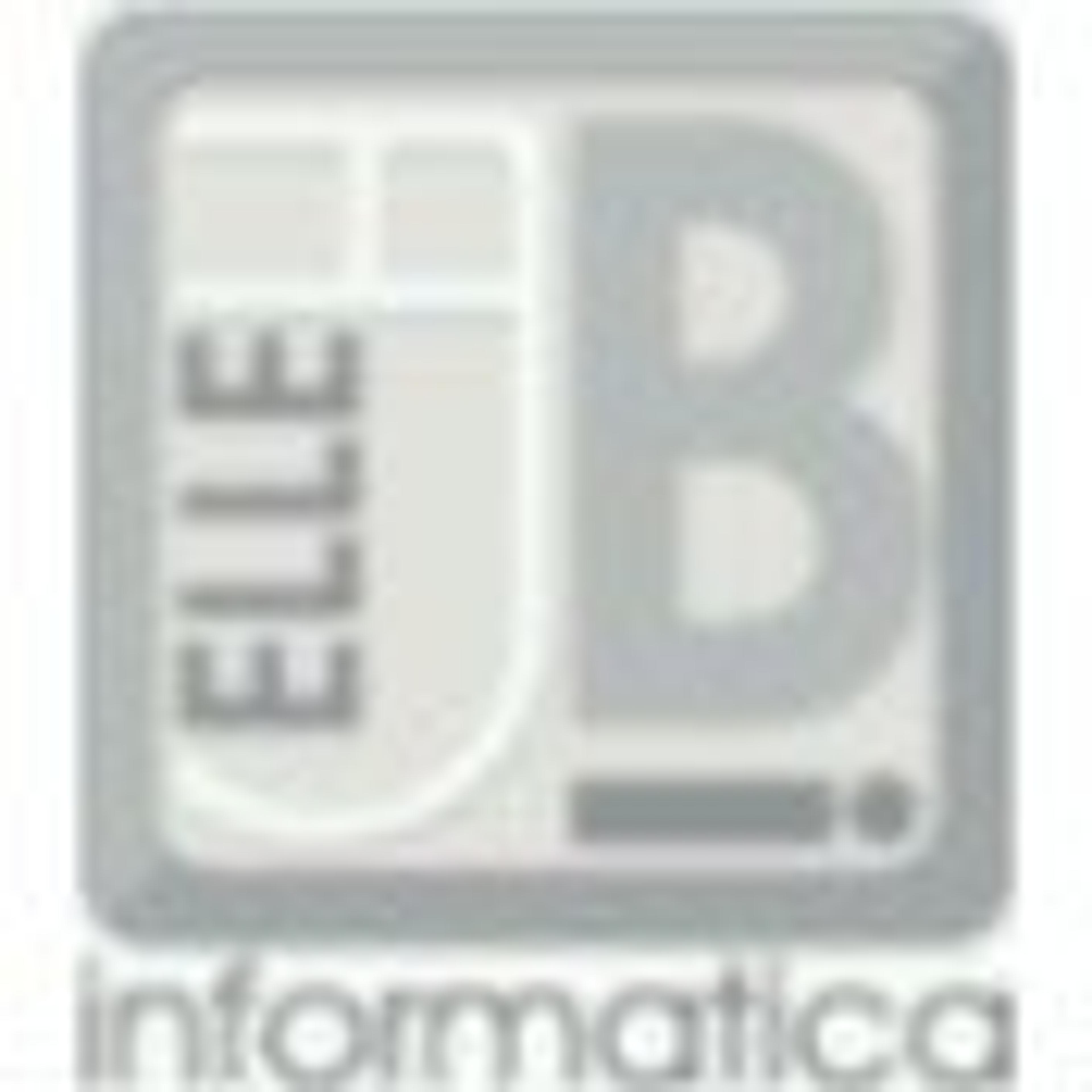 ElleBi Informatica