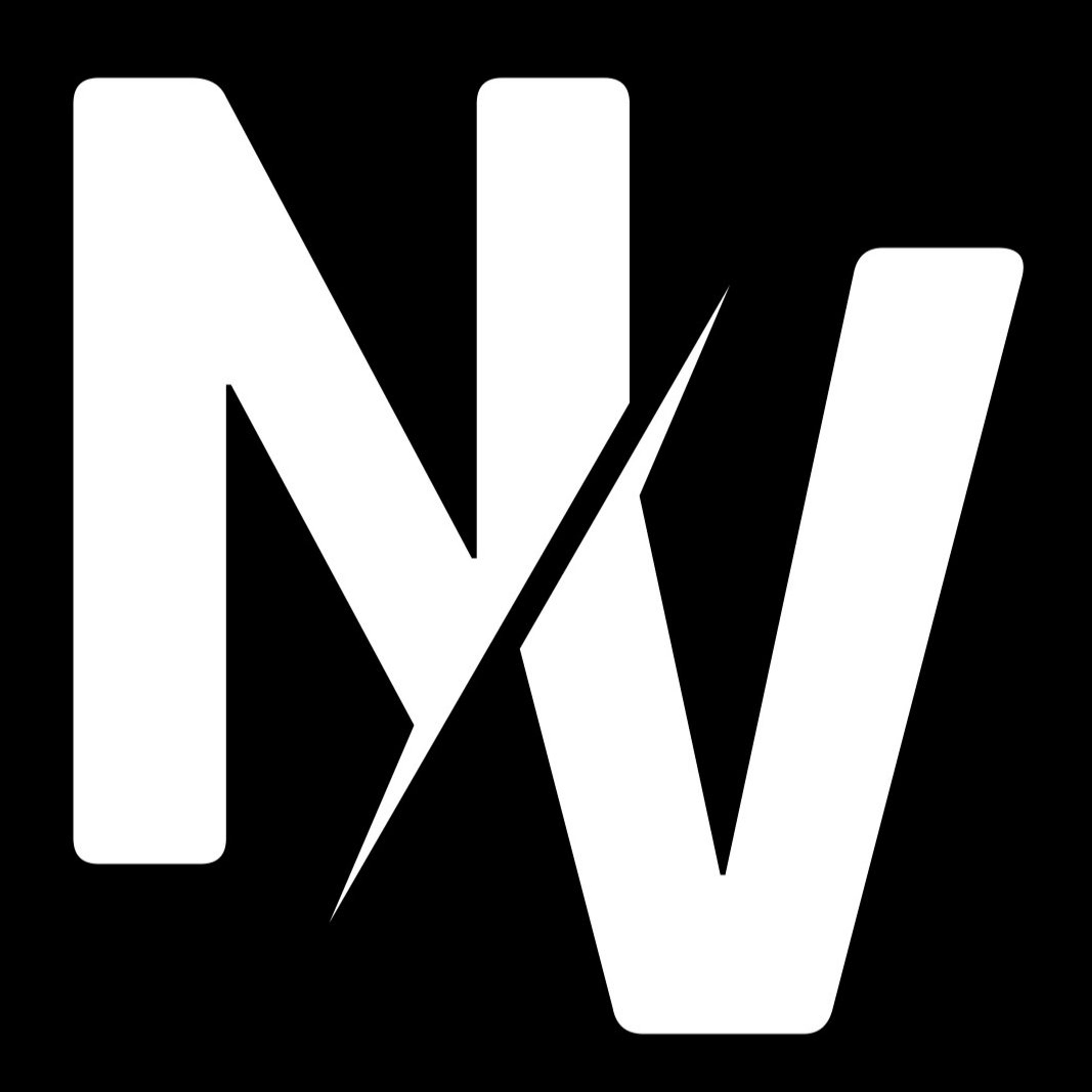 NV Consulting di Vignozzi Neri