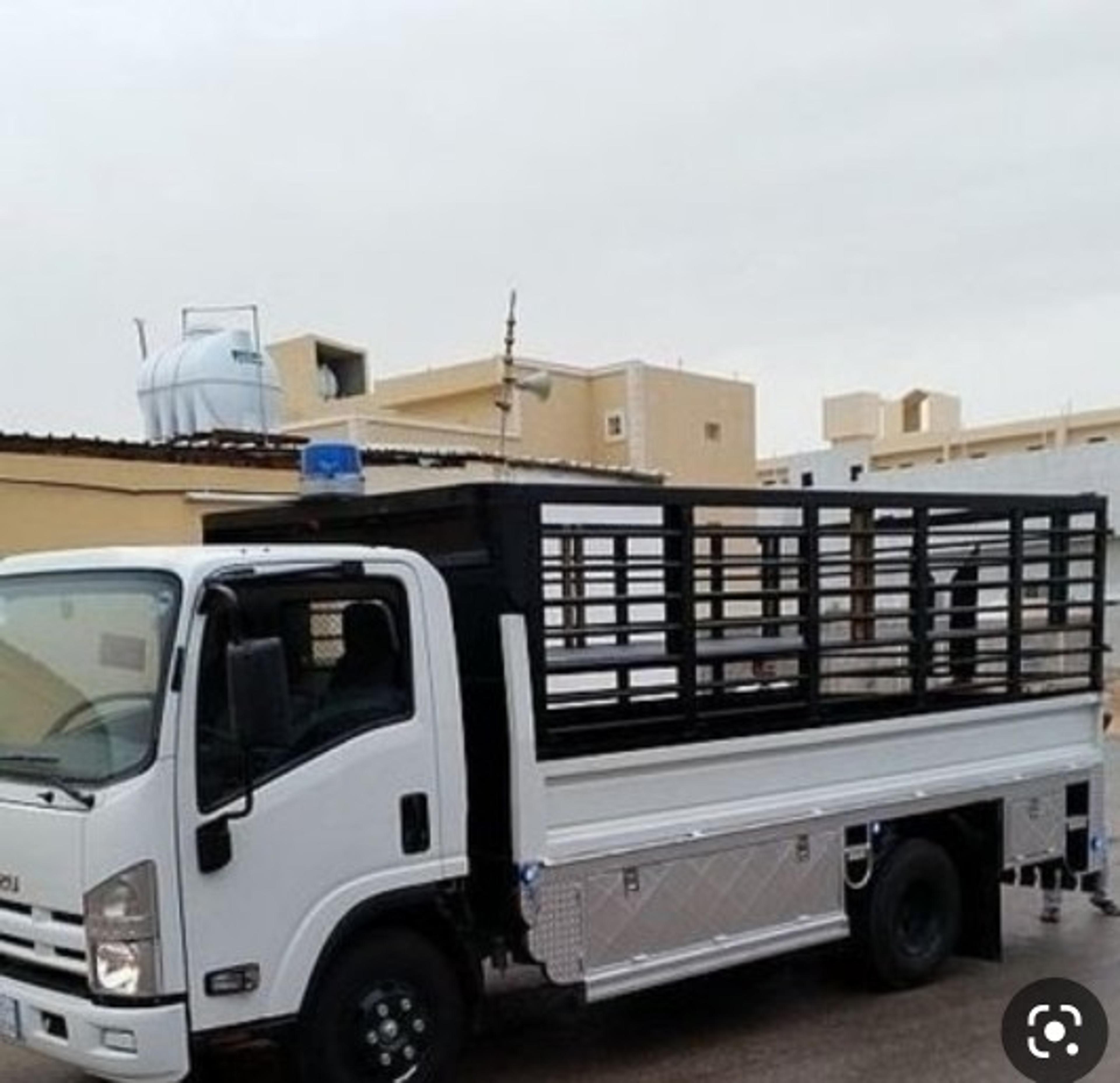 اضواء المملكه