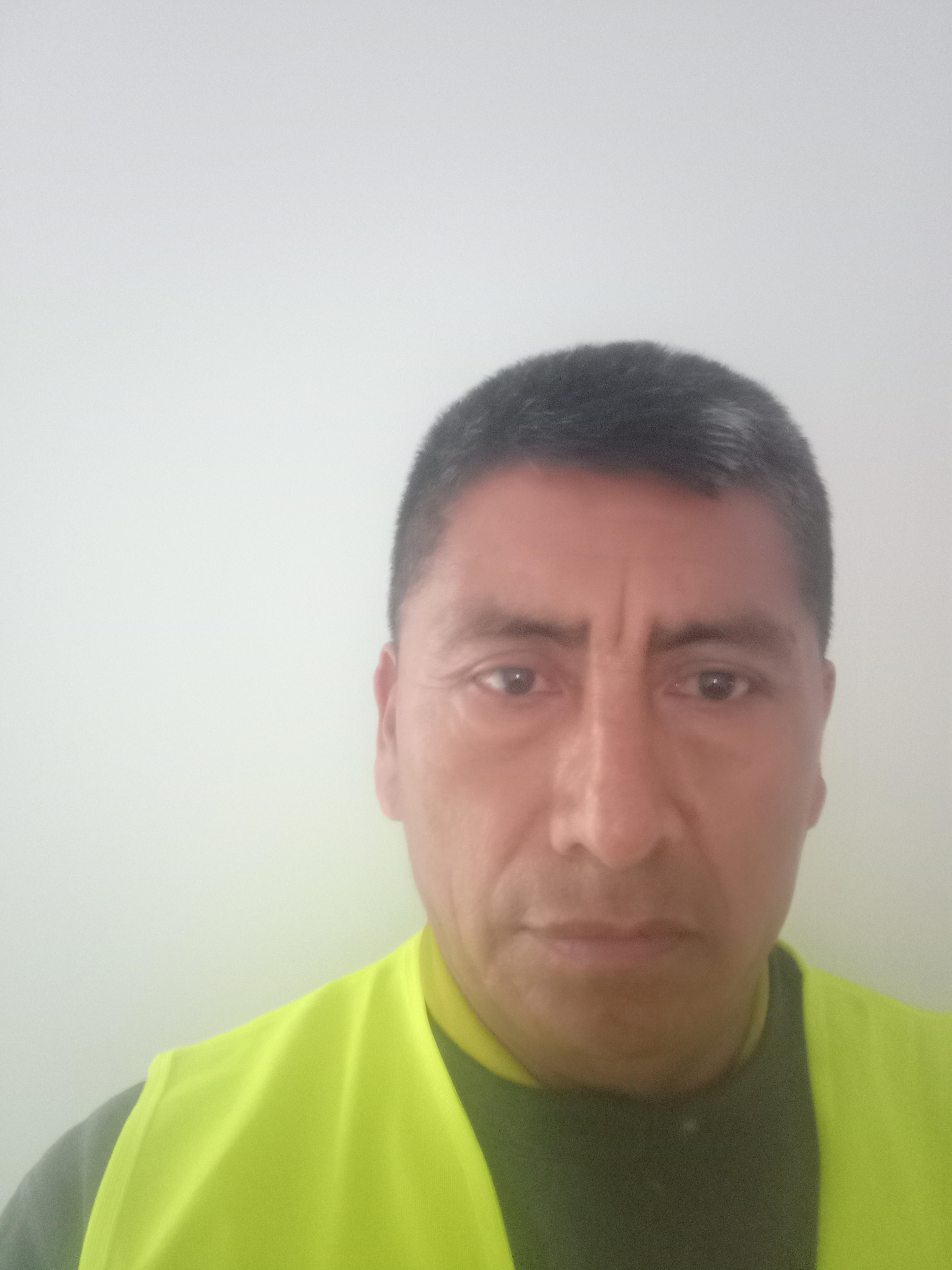 Galo Moreno