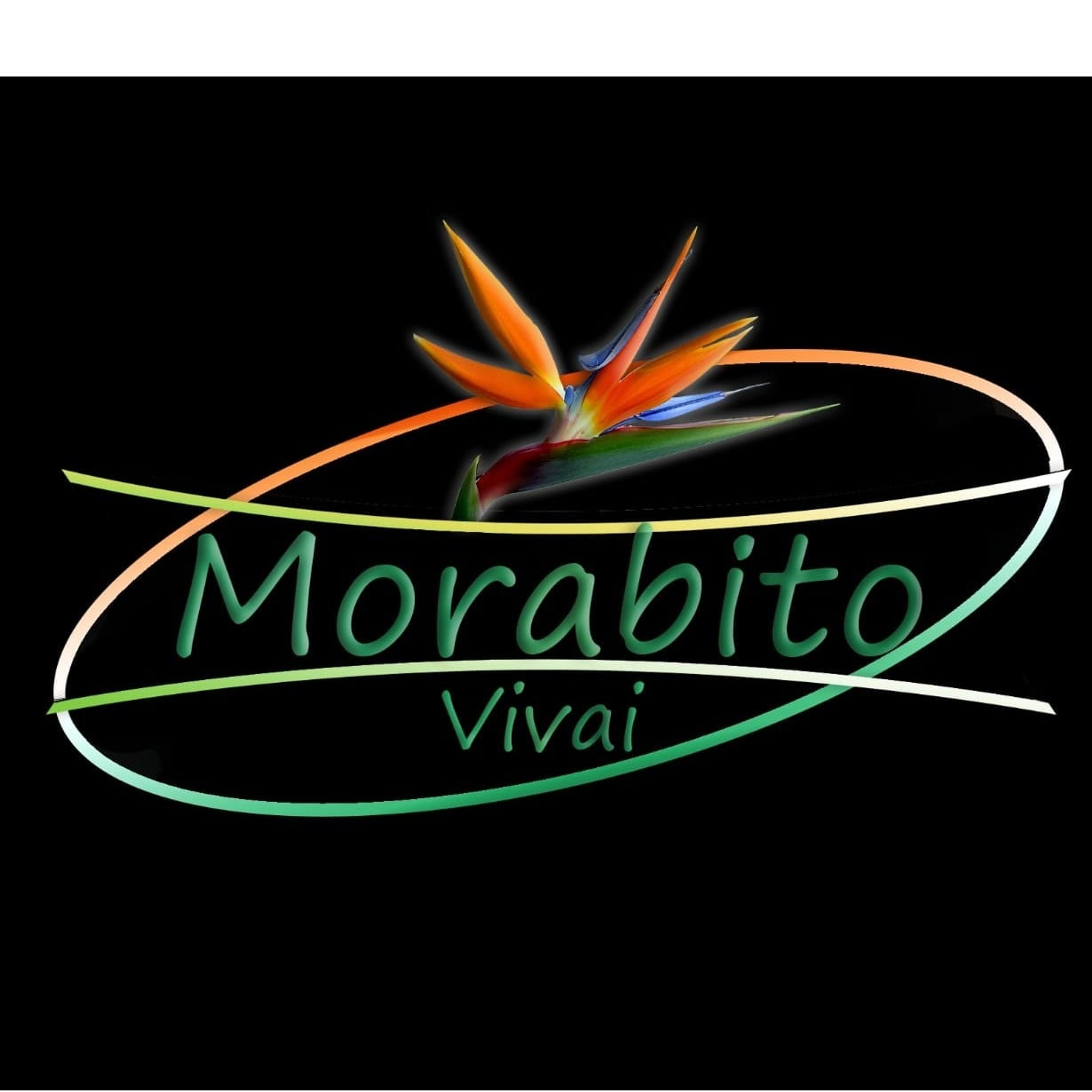 Morabito vivai
