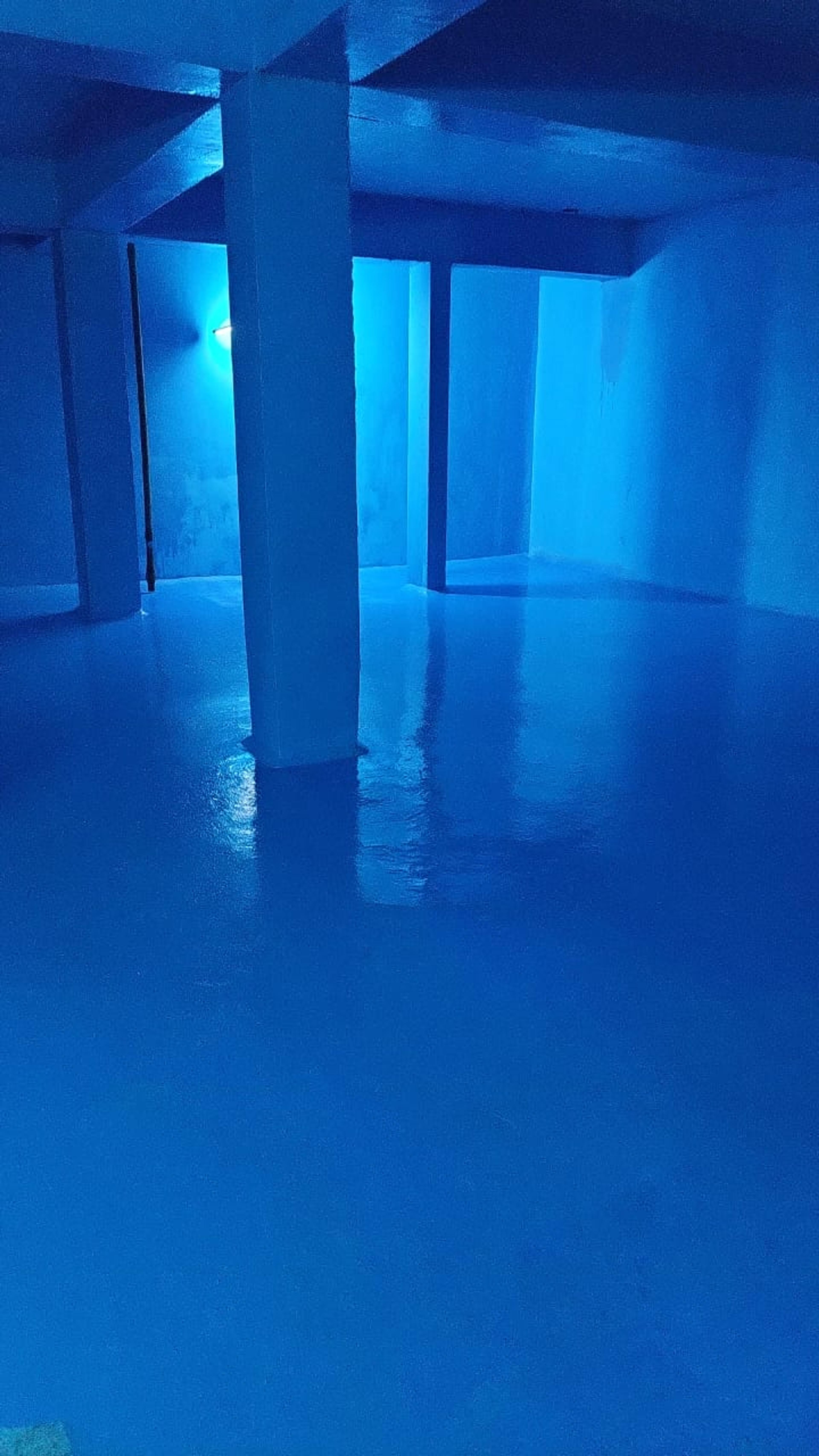 مجموعه الامانه