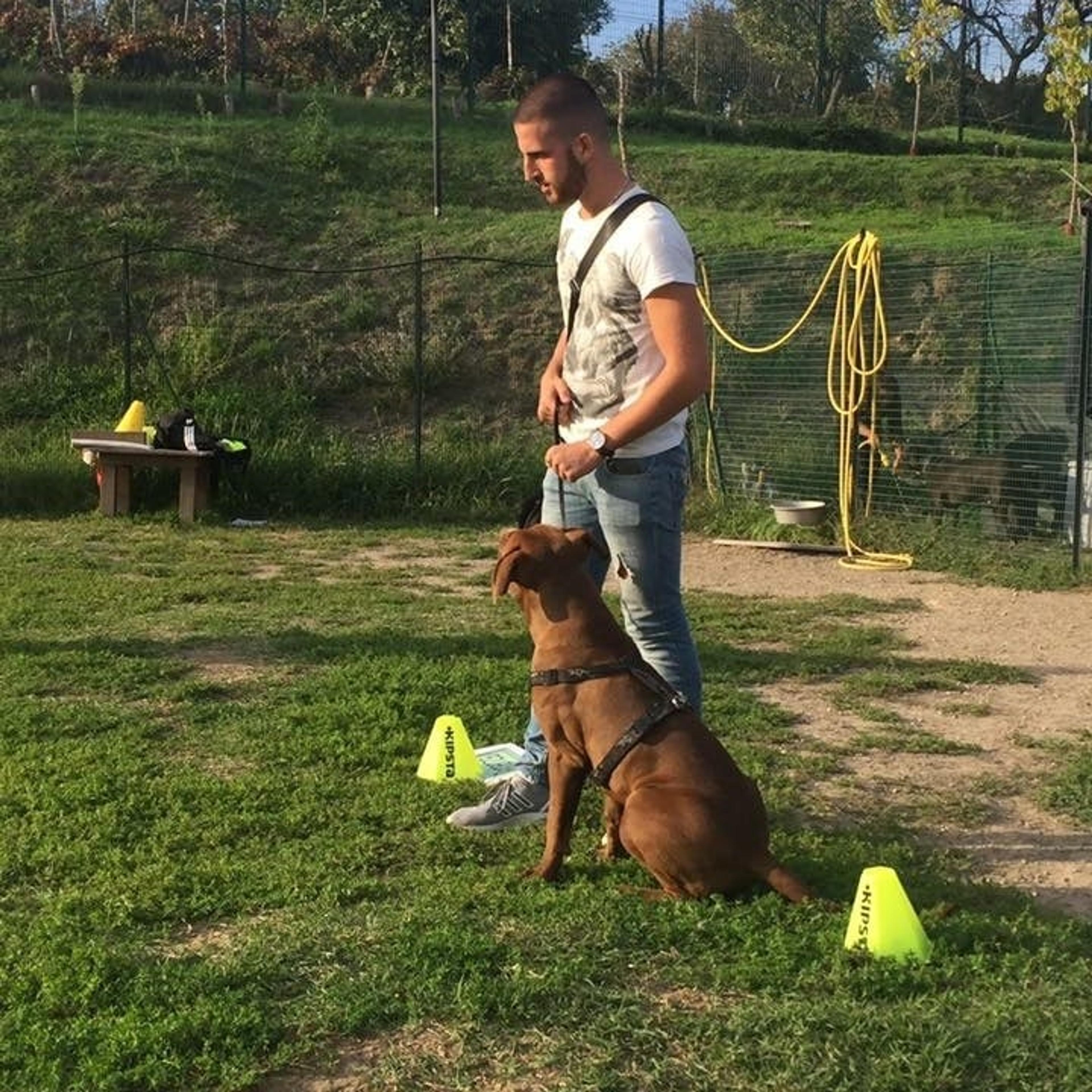 Davide Amoruso