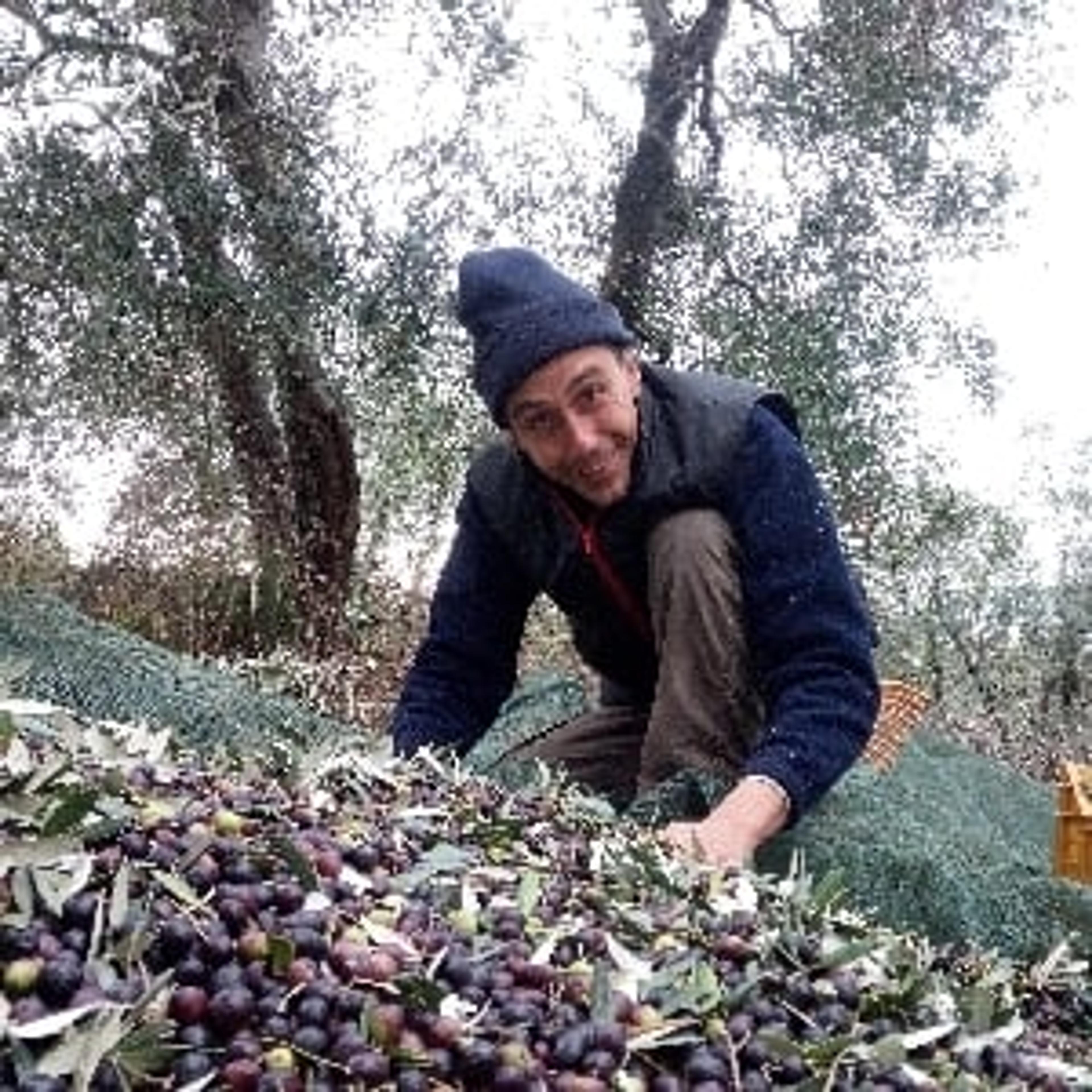 Luca Moroni