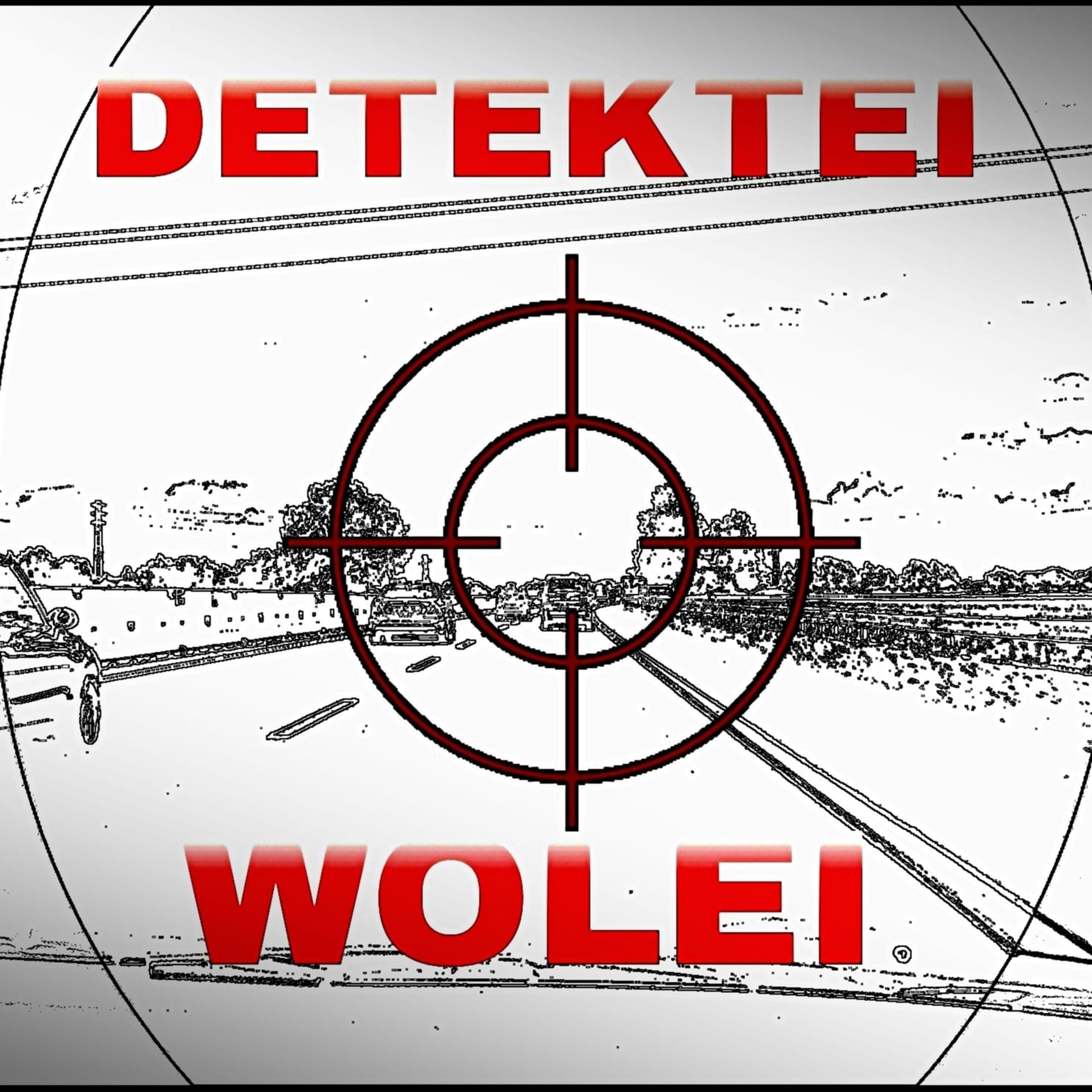 Detektei WOLEI