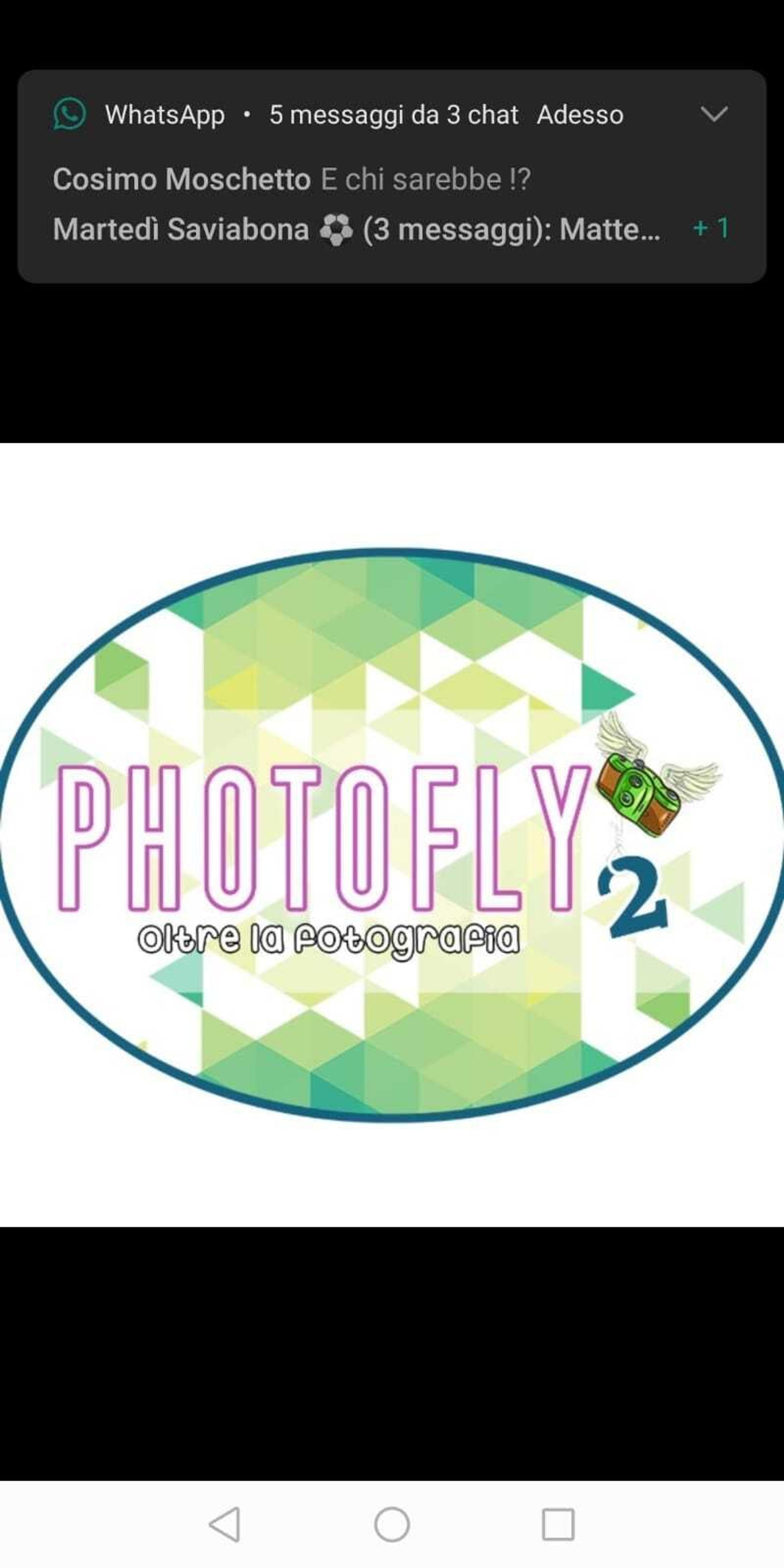 Photofly2