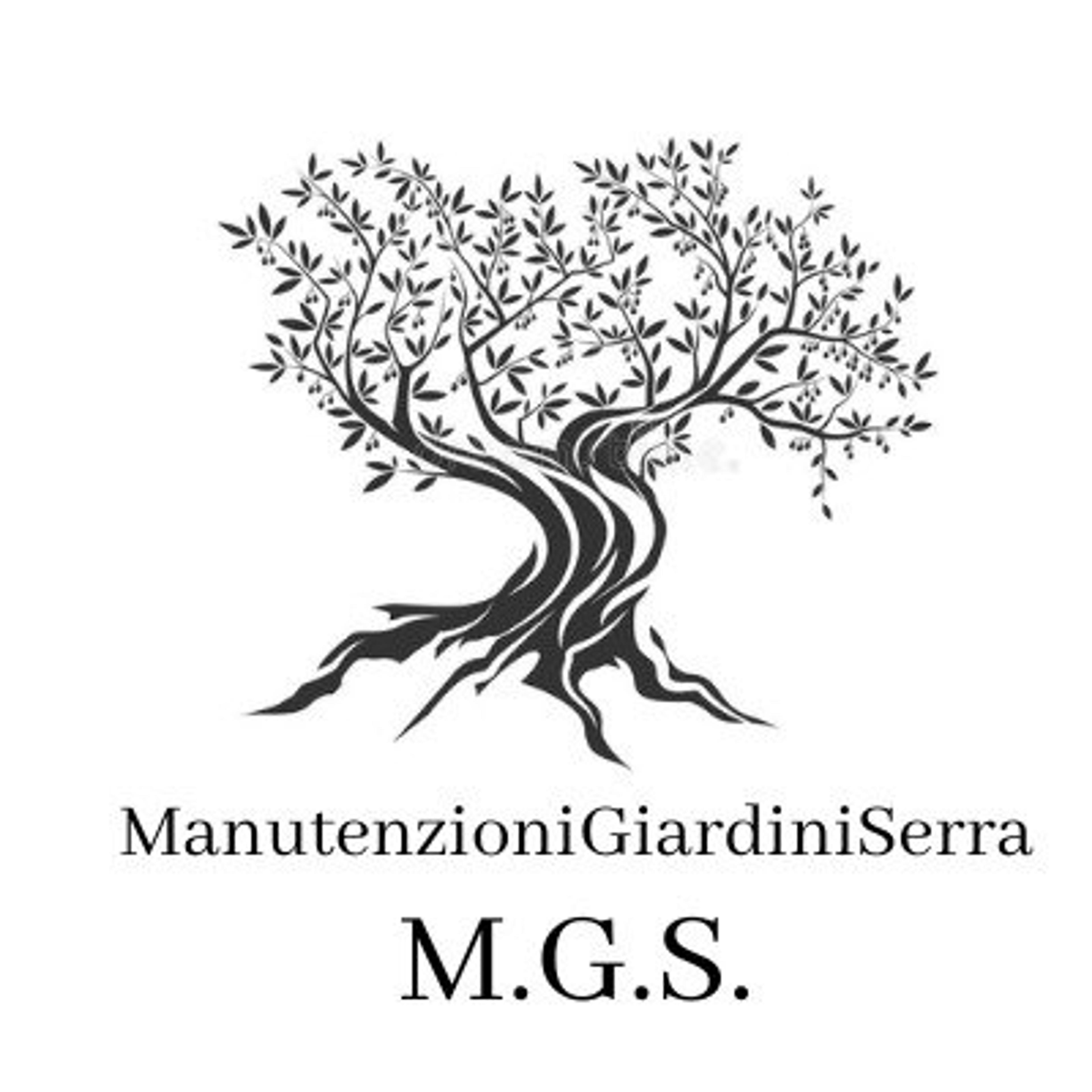 M.G.S. ManutenzioneGiardiniSerra
