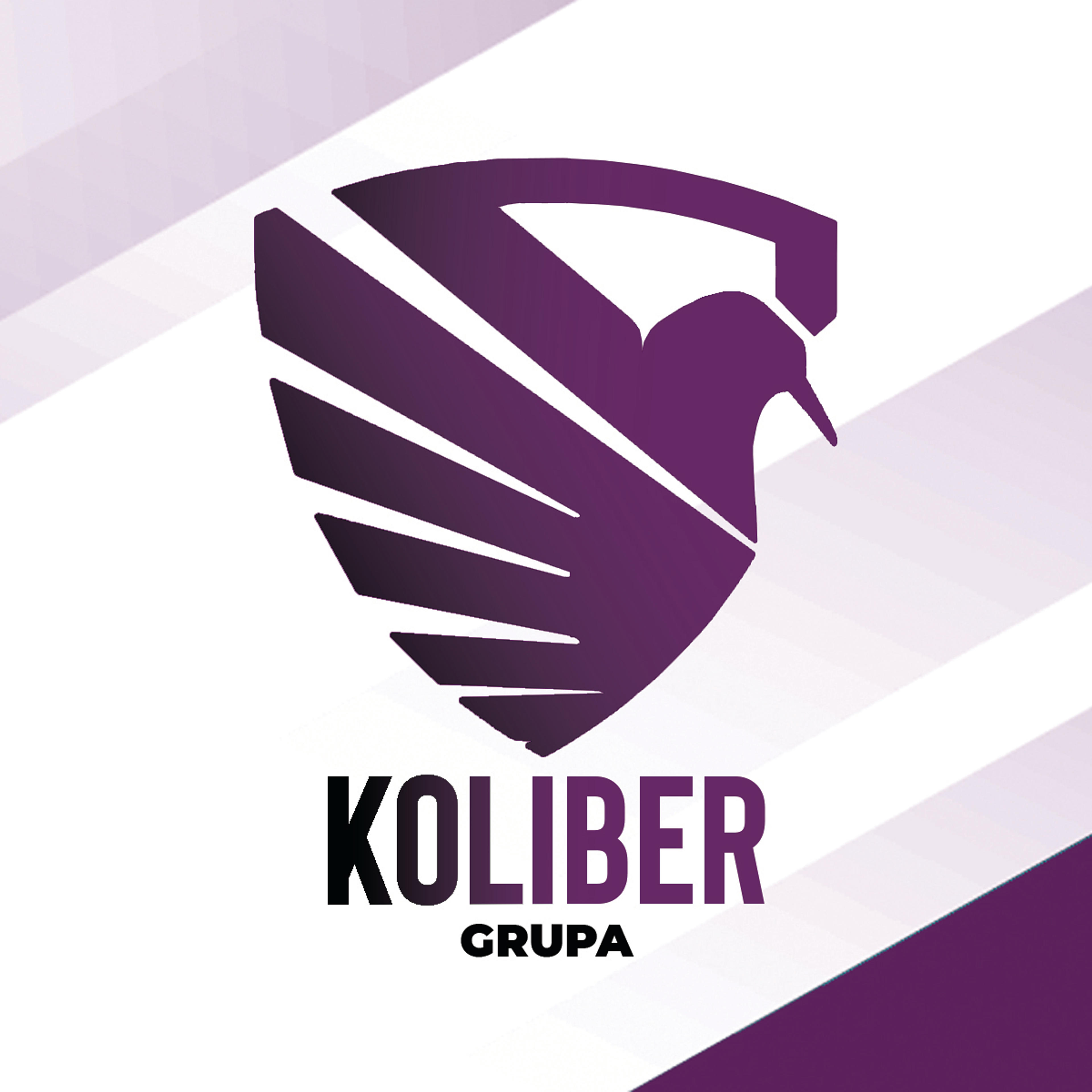 Grupa Koliber
